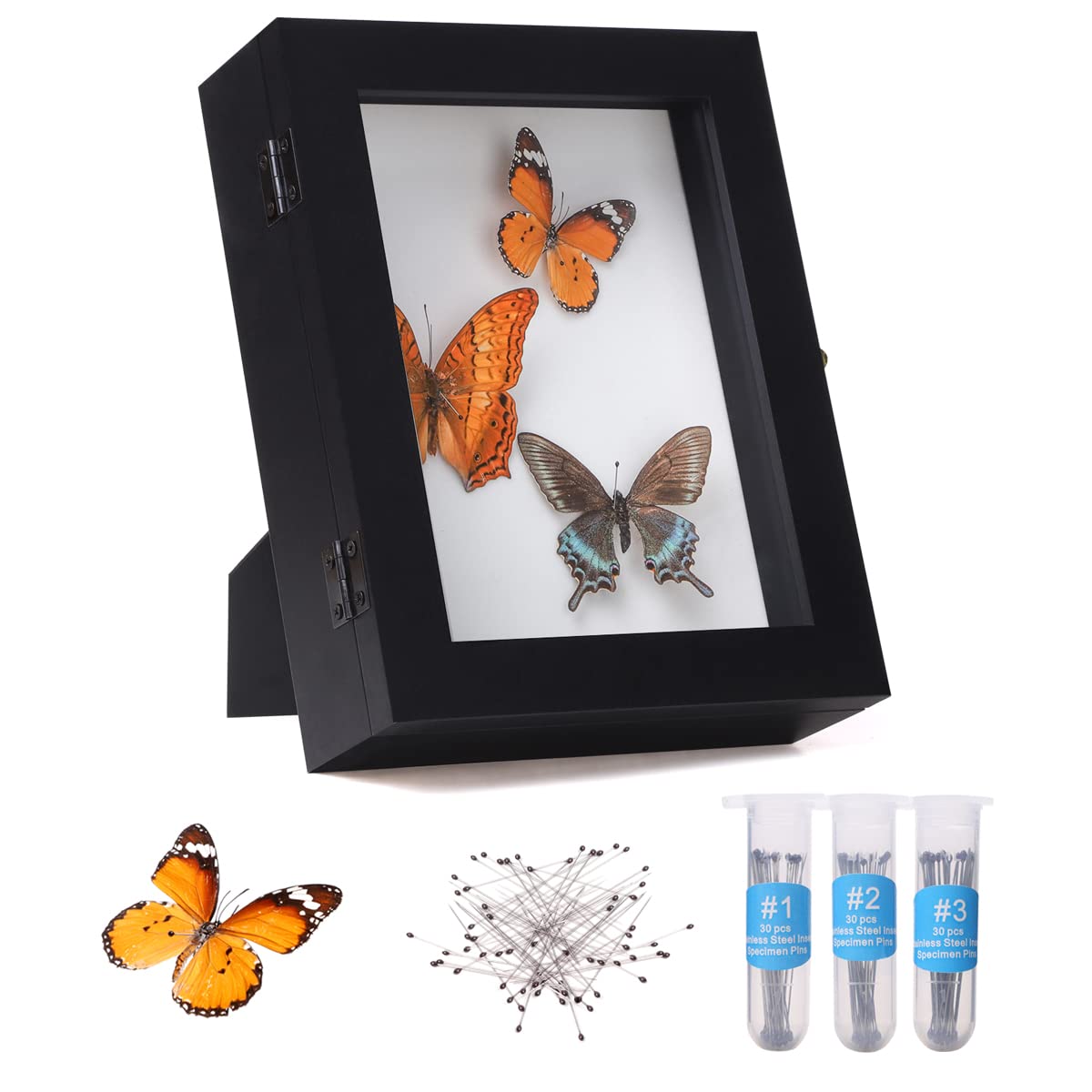 IHEIPYE Insect Display Case Wall Mount Bug Display Case Collection Box for Butterfly Specimen with Anti Fade UV Protection Acryl