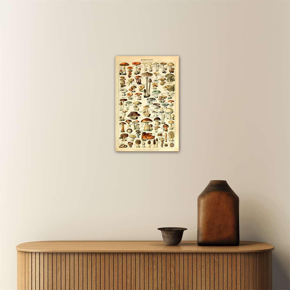 Meishe Art Vintage Poster Print Mushrooms Champignons Identification Reference Chart Diagram Illustration Botanical Educational Wall Decor