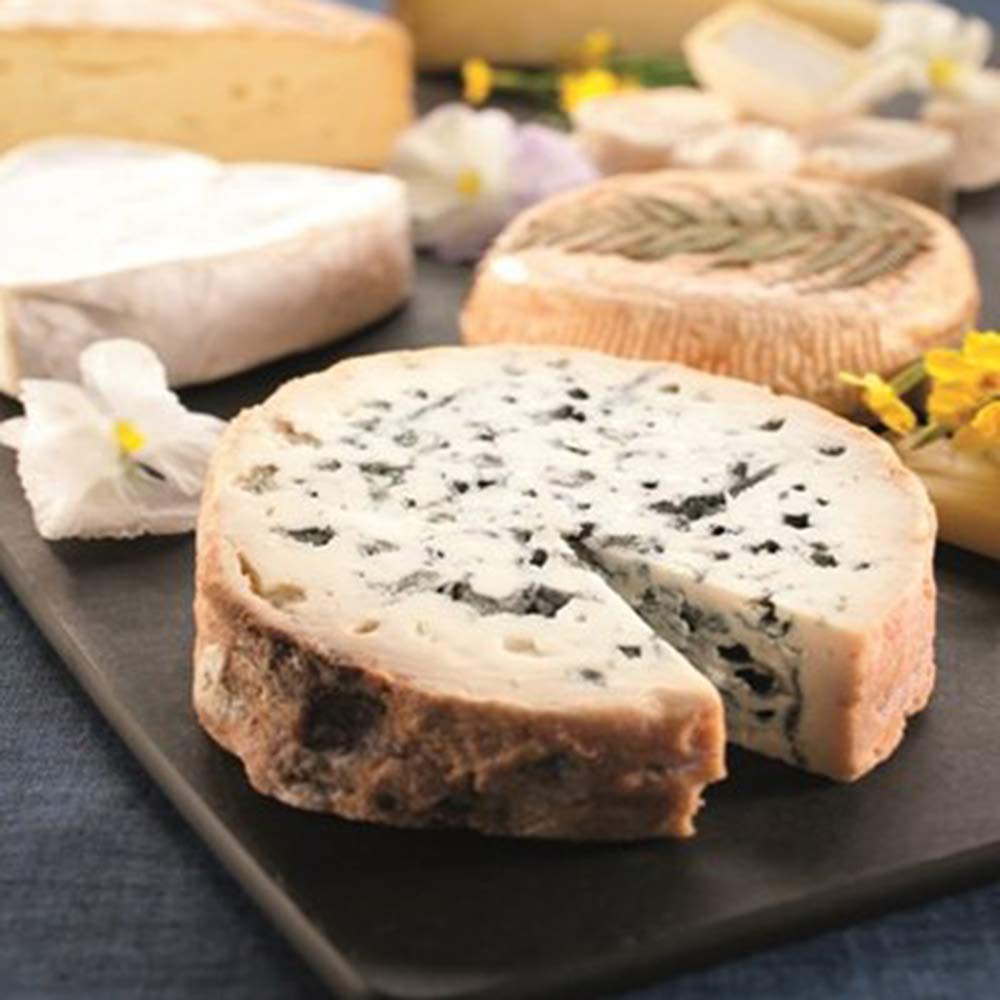 5Pcs Cheese Draining/Ripening Mat 8Cheese Drying Mats Cheesemaking Equipment Cheese Making At Home (8'')