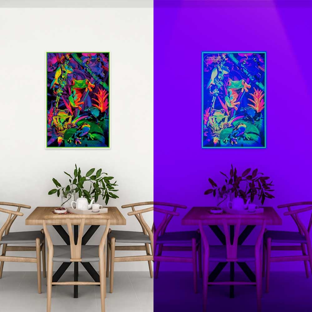 Studio B Tree Frogs - Non-Flocked Blacklight Poster 24 X 36 24 X 36 Paper