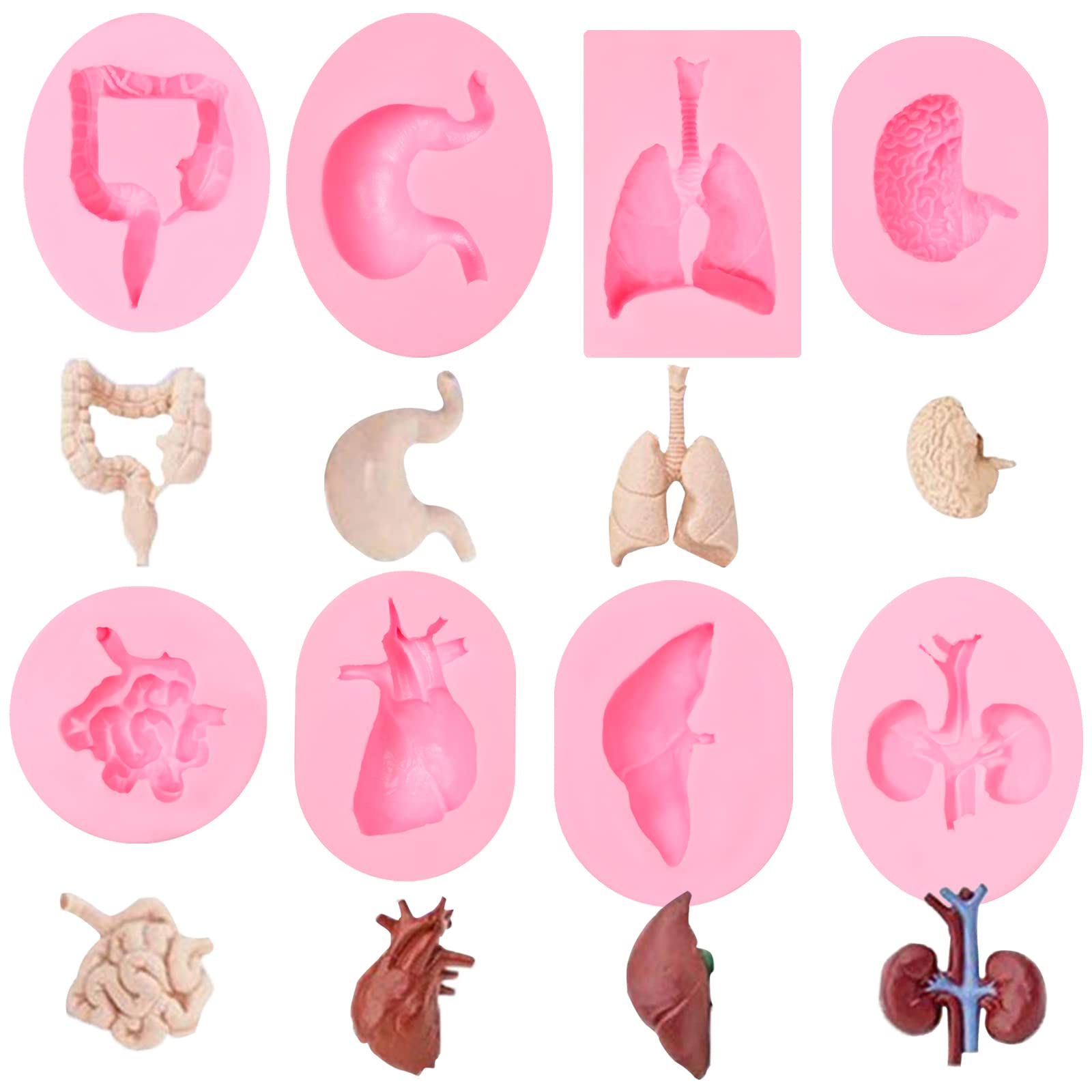 Human Organs Shape Silicone Molds 8 Pcs, Heart Brain Silicone Mold Liver Intestinal Lung Chocolate Fondant Mold For Cake Decorat