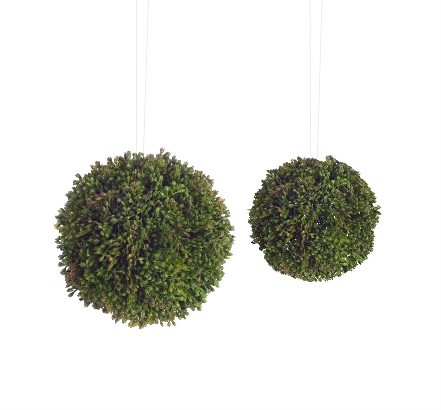 Melrose Sedum Orbs (Set of 2) 4H Plastic