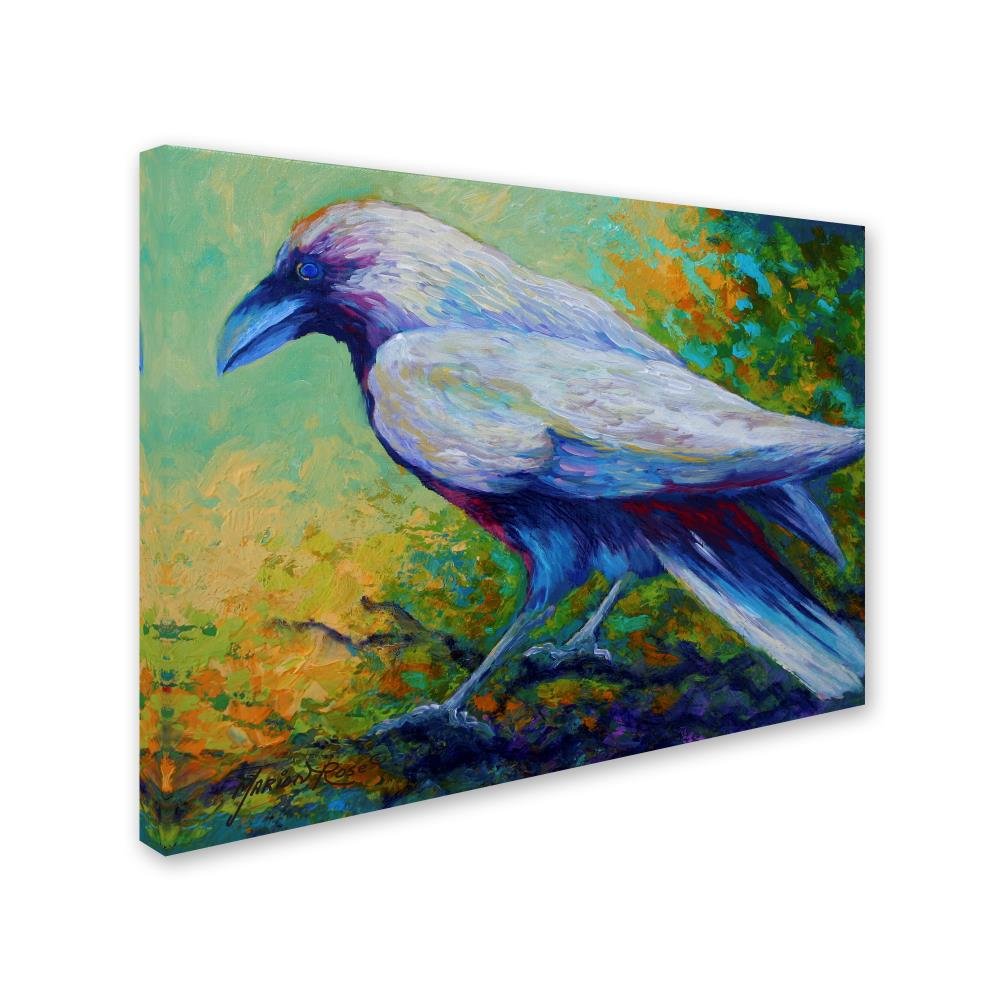 Raven 2 By Marion Rose, 35X47-Inch Canvas Wall Art