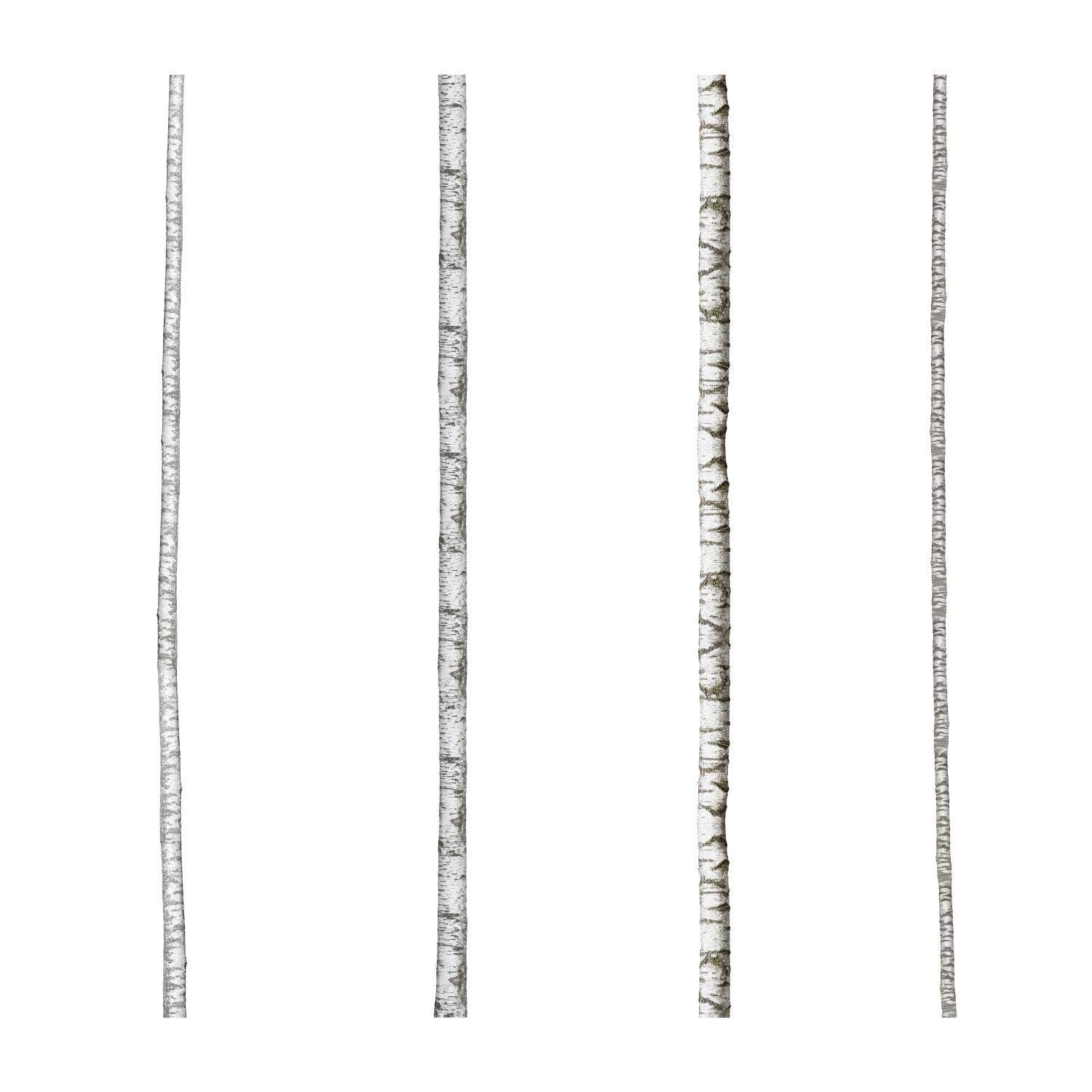 Roommates Rmk3848Gm Realistic Birch Trees Peel And Stick Giant Wall Decals