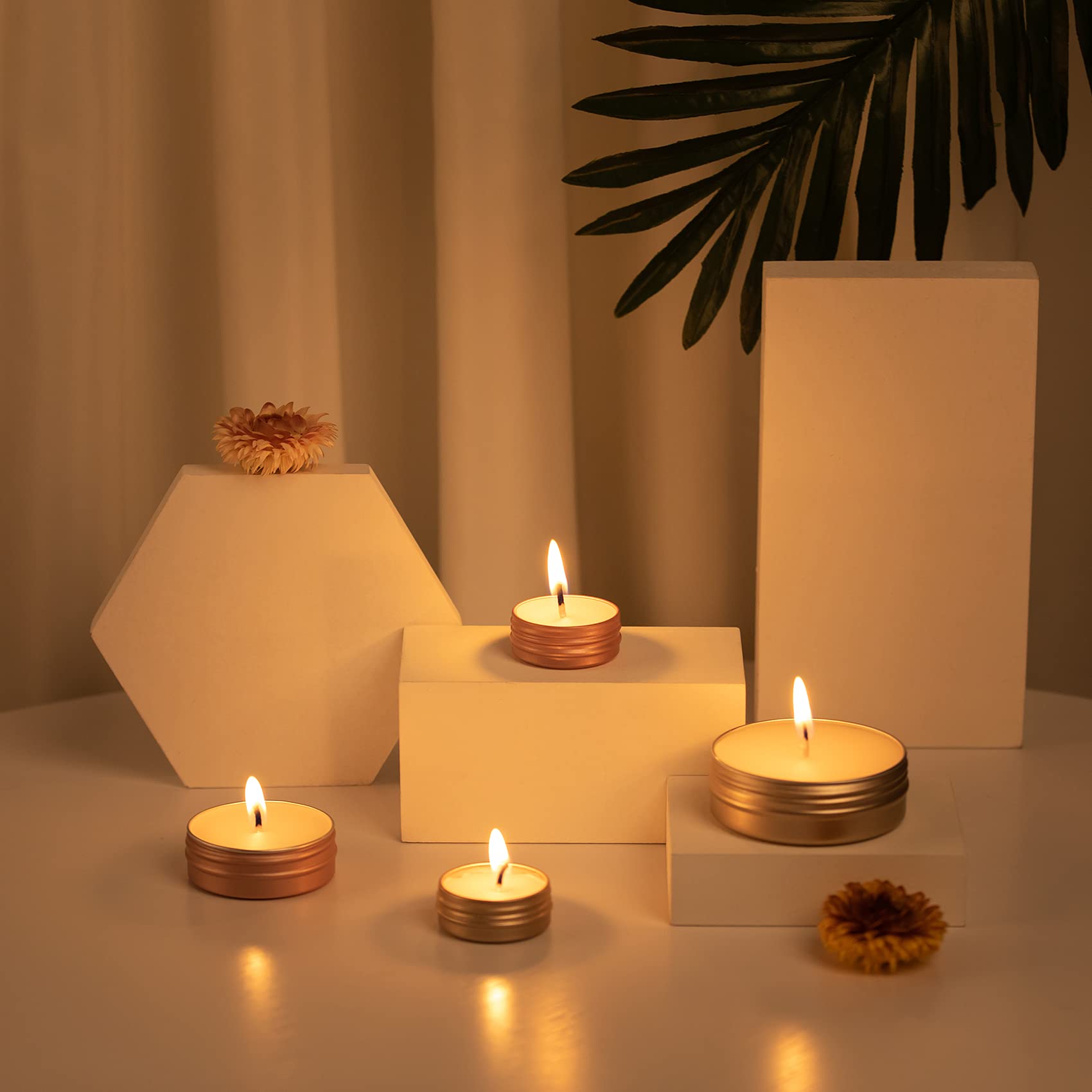 0.5 Oz Screw Top Aluminum Tin Jar With Screw Lid And Blank Labels (Champange - Pack Of 32)