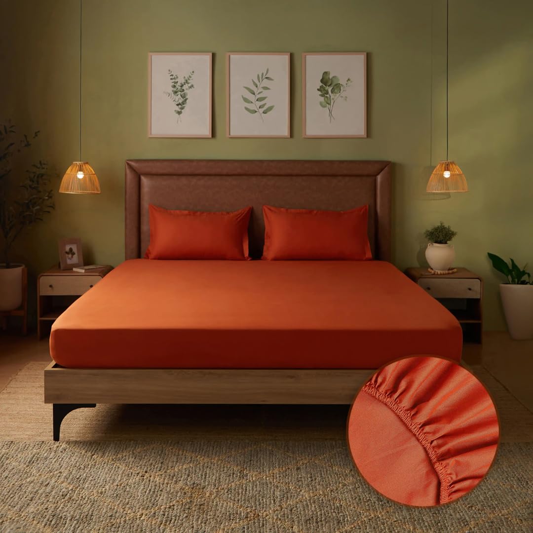 Livspace Bedsheet Queen Size Bed Cotton | 78 x 60 Inches | Elastic Fitted Bedsheet with 2 Pillow Covers, 144 TC, 100% Cotton, So
