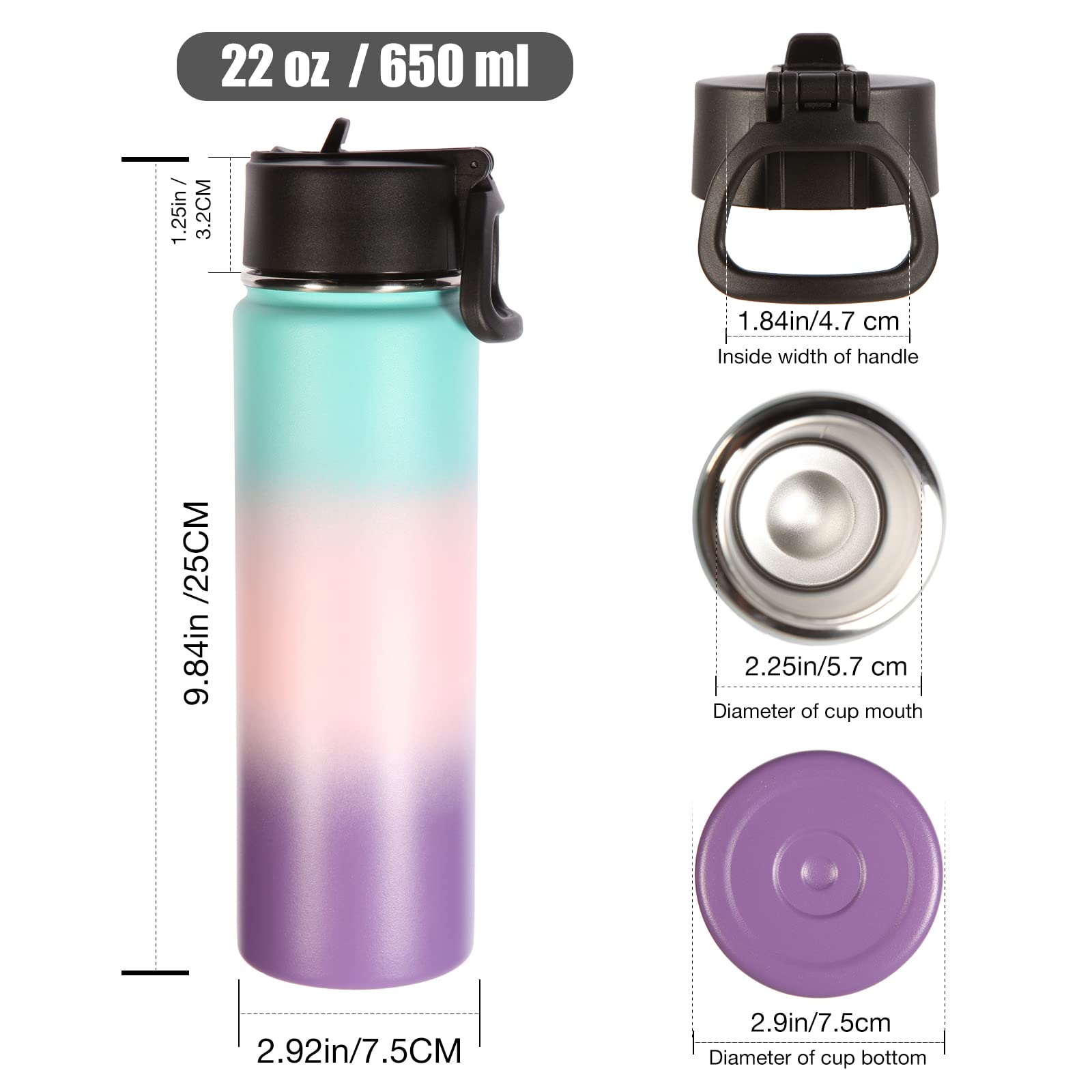 Volhoply 22 oz Insulated Water Bottles with Straw Lid  Stainless Steel Sports Bottle with Handle  Double Walled Vacuum Metal Travel Water Thermos  Reusable Water Flask for School(Gradient Color 1 Set)