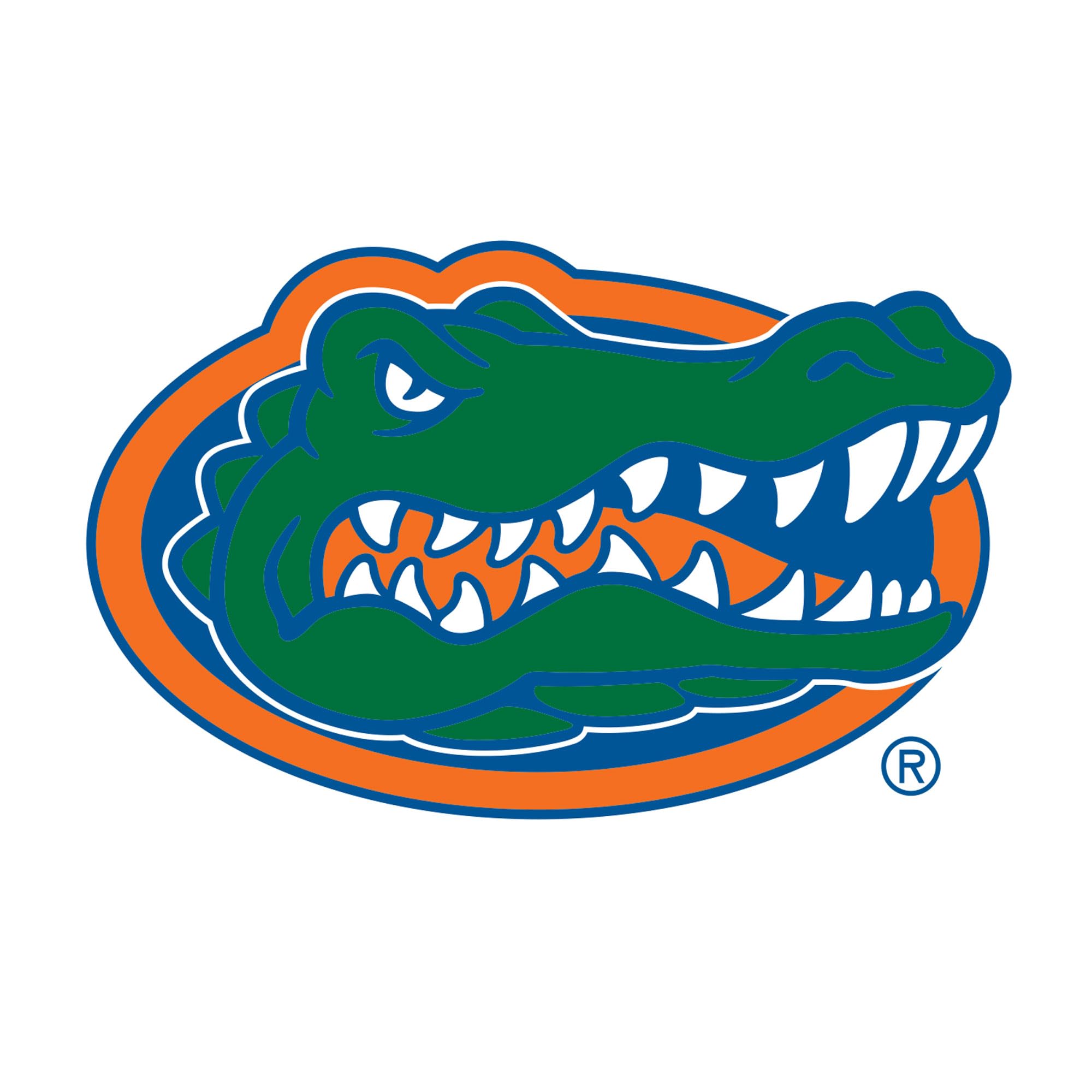 Florida Ice Tray