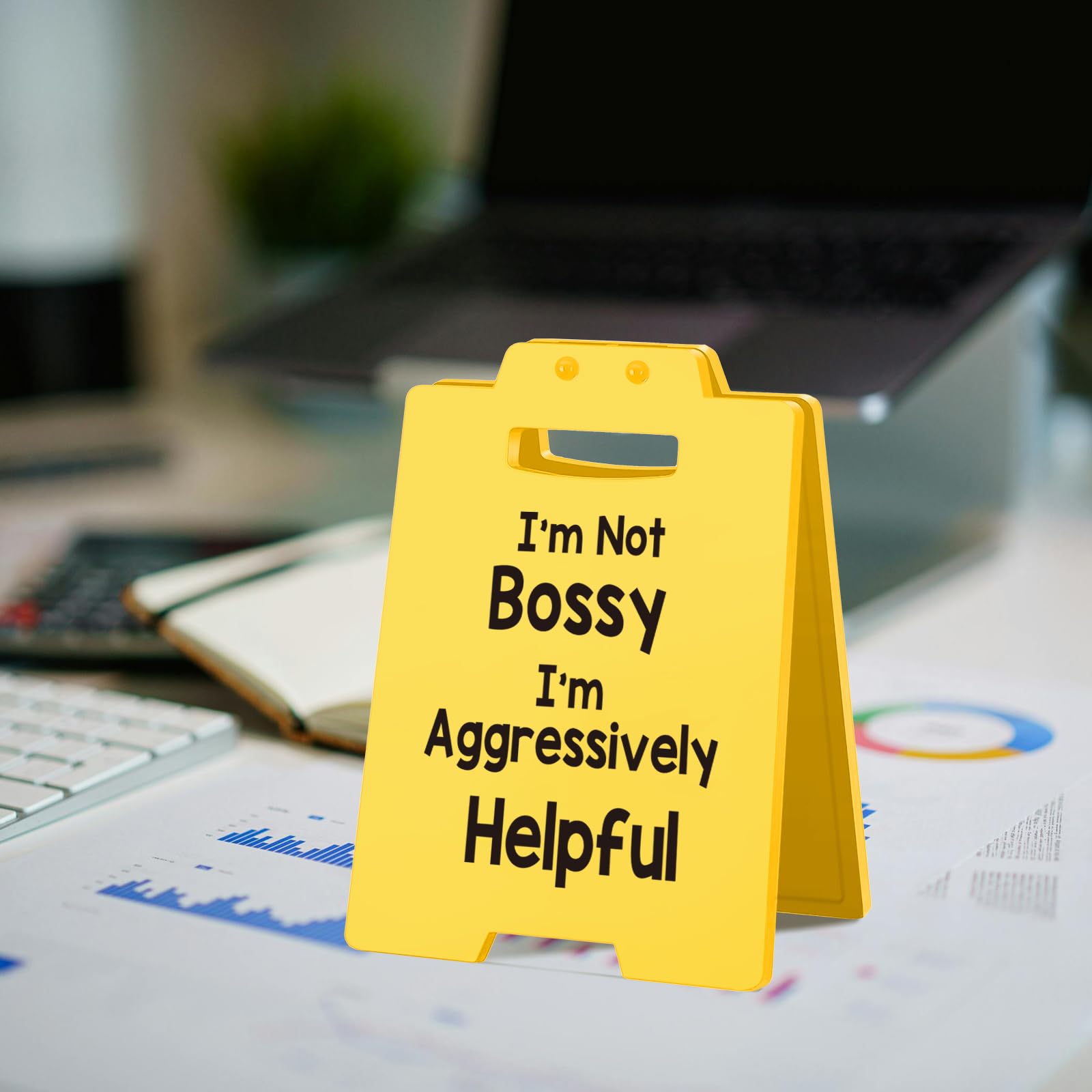 Funny Office Desk Sign - Sarcastic Office Decor for Women, Boss, Manager or Admin - Gag Gift for Coworkers, Employees, or Team L