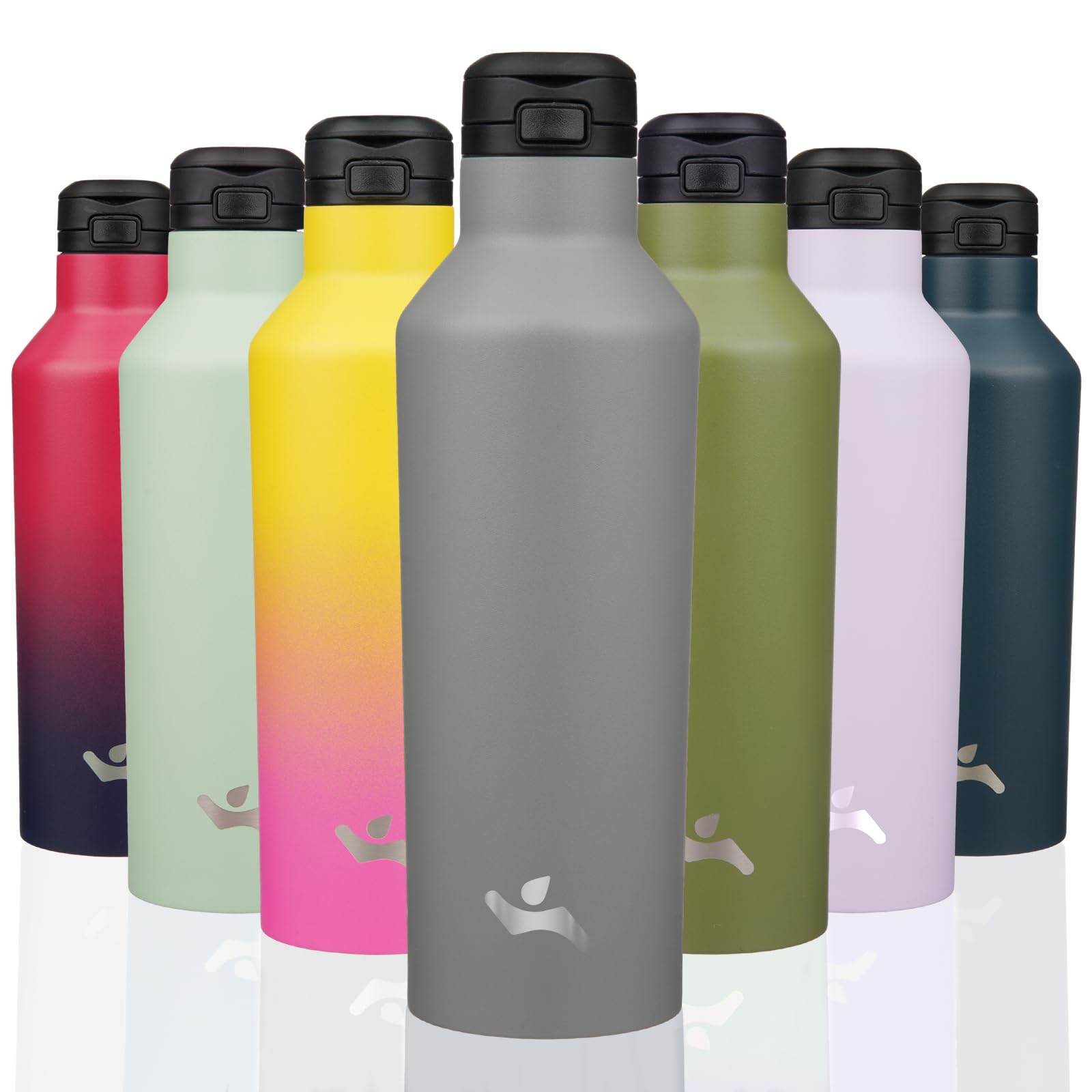 Insulated Water Bottle with Straw,25 OZ Double Wall Vacuum Stainless Steel Water Flask with 2 Lids,Grey