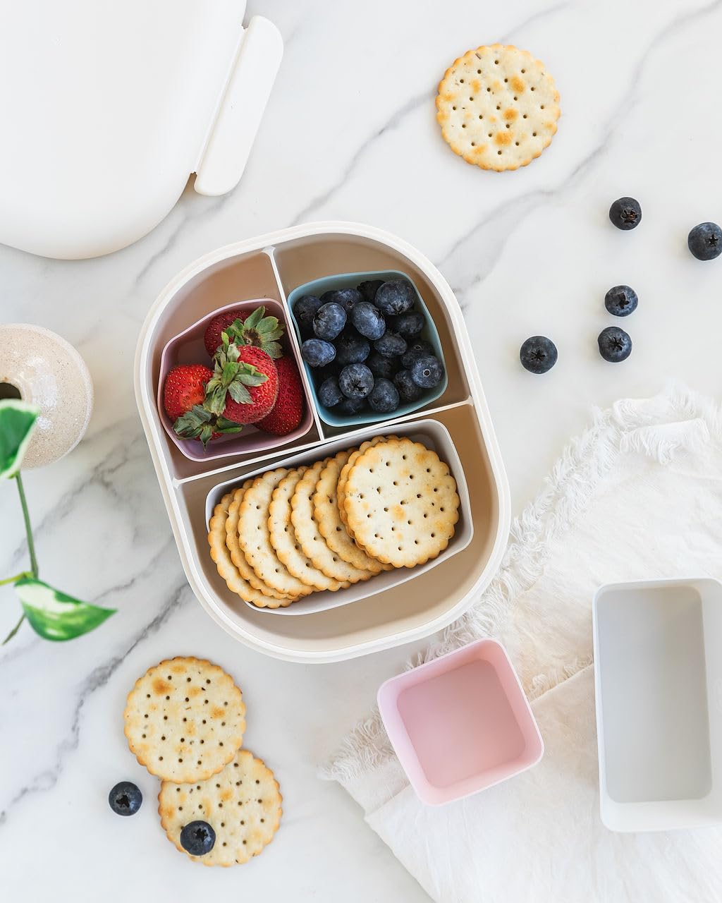 The Silicone Kitchen Reusable Silicone Bento Baking Cups, Non-Toxic, Bpa Free, Dishwasher Safe Bento Box Accessories Lunch Box D