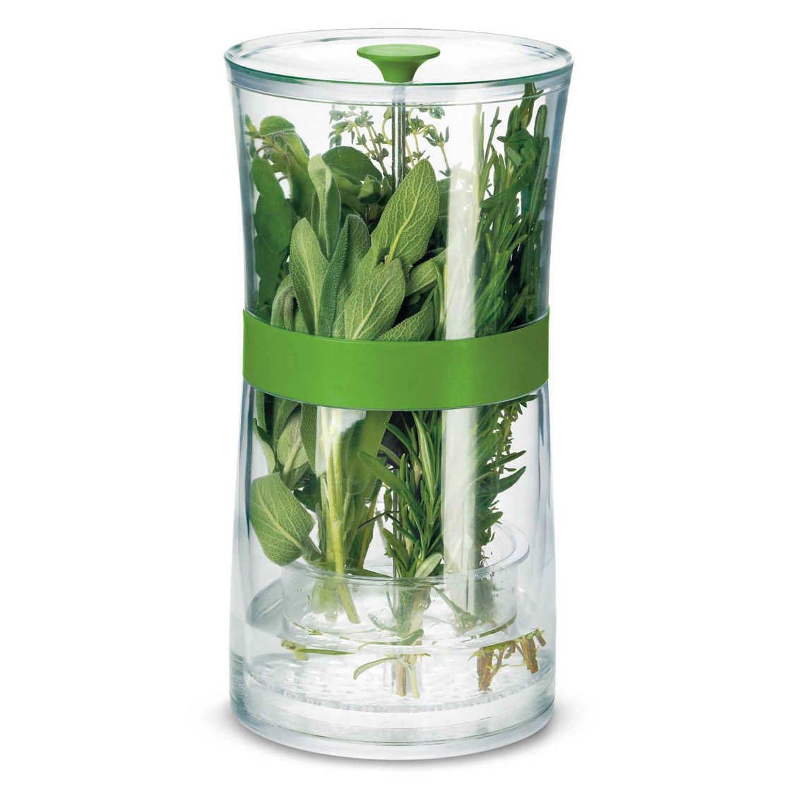 Cuisipro Herb Keeper, Large, Clear