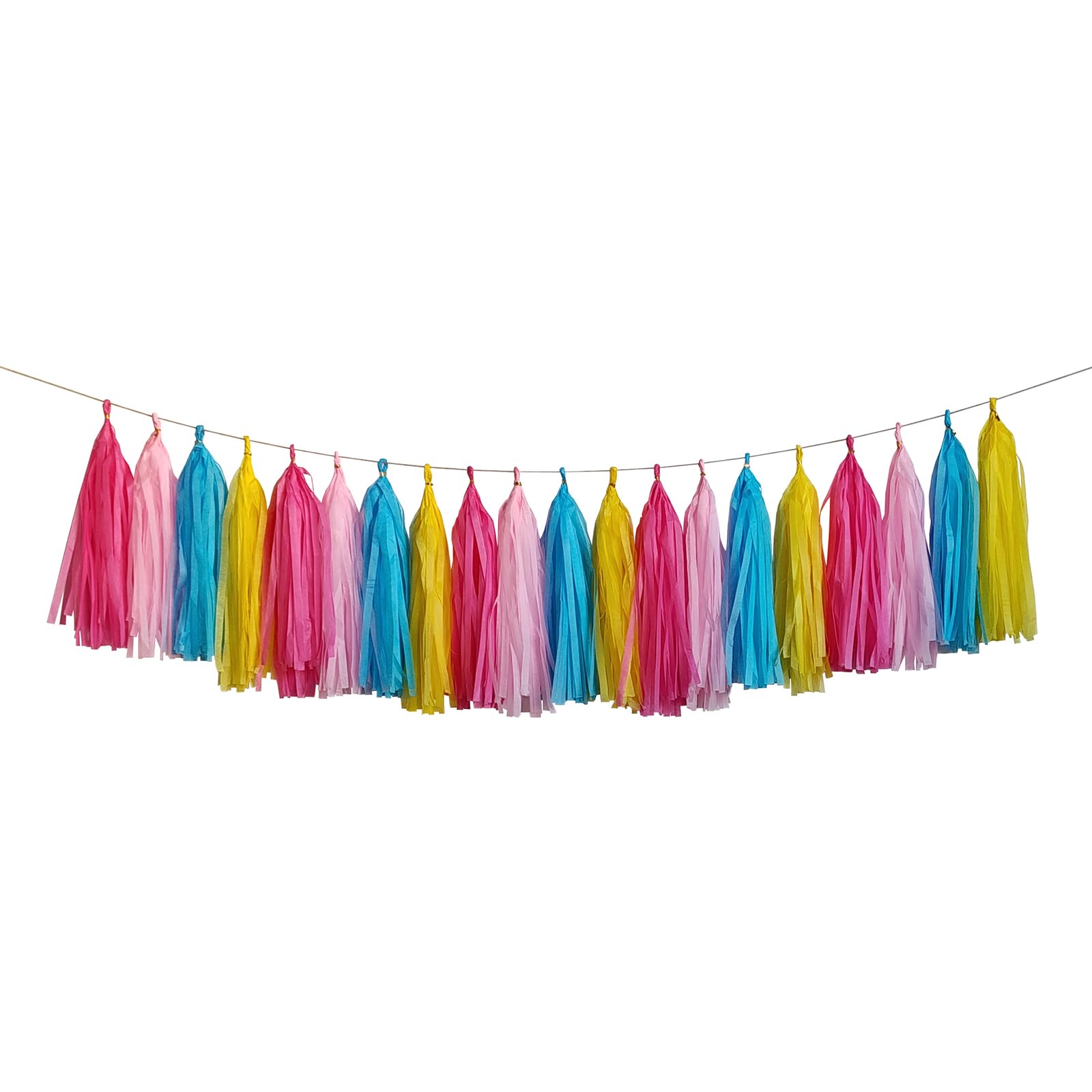 ZOOYOO Tassel Garland Tissue Paper Tassel Banner,Table Decor,DIY Kits for Various Party, Tassels Party Decoration,Pack of 20(Hot