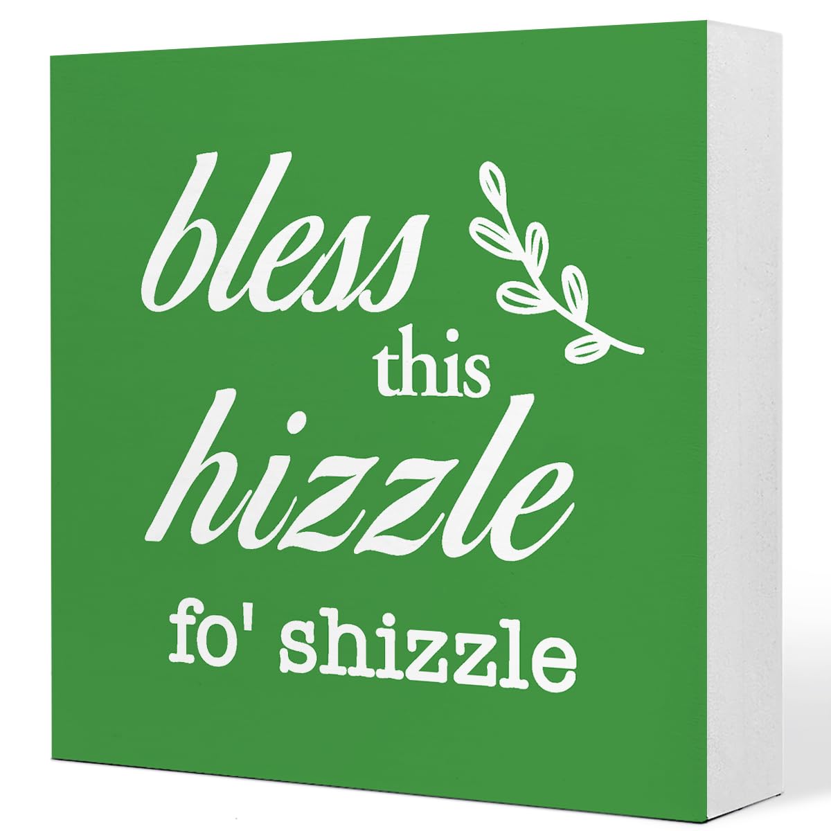 Green Bless This Hizzle for Shizzle Sign Wooden Block,Funny Humor Home Decor for Shelves,Farmhouse Home Desk Decor,House Warming