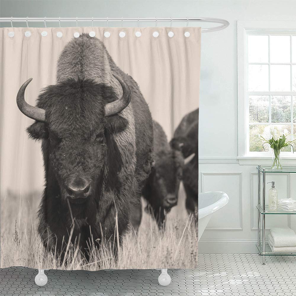 Emvency Decorative Shower Curtain Head Bison Buffalo In Sepia Herd Of Shot One Animal 72''X72'' Waterproof Bathroom Shower Curta