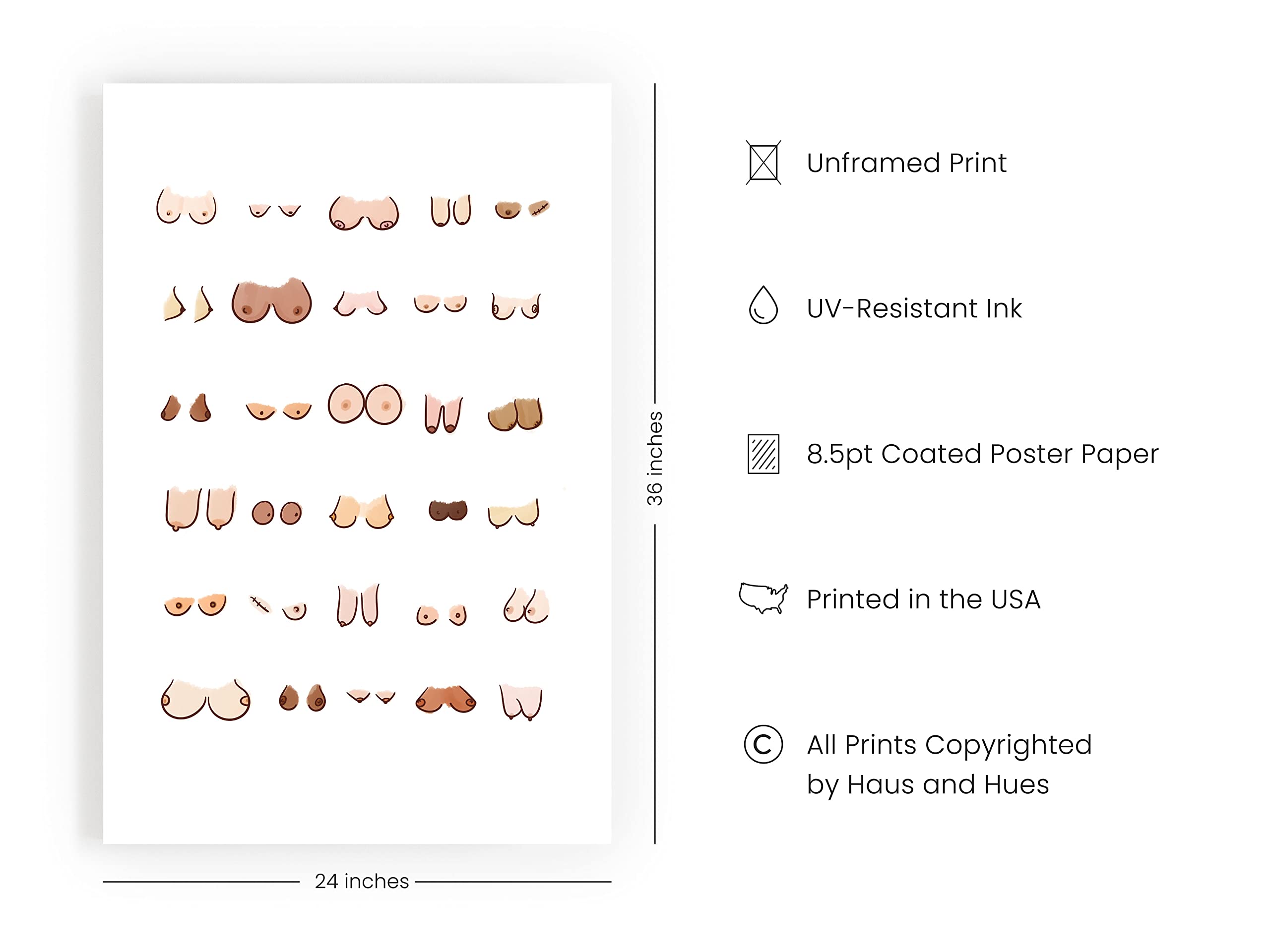 HAUS AND HUES Funny Bathroom Wall Art - Unframed Boobs Poster, 24x36 Inches