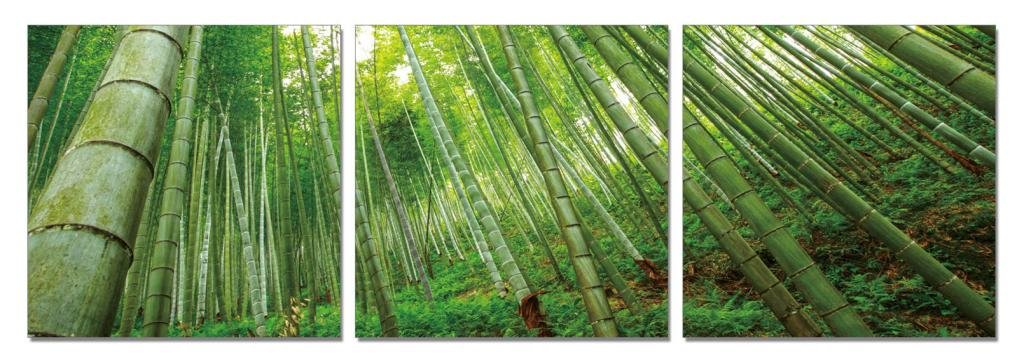 Go Hooked Mdf Wall Hanging Art Painting (Multicolour, 28 Cm X 9 Cm X 28 Cm) - 3 Frames