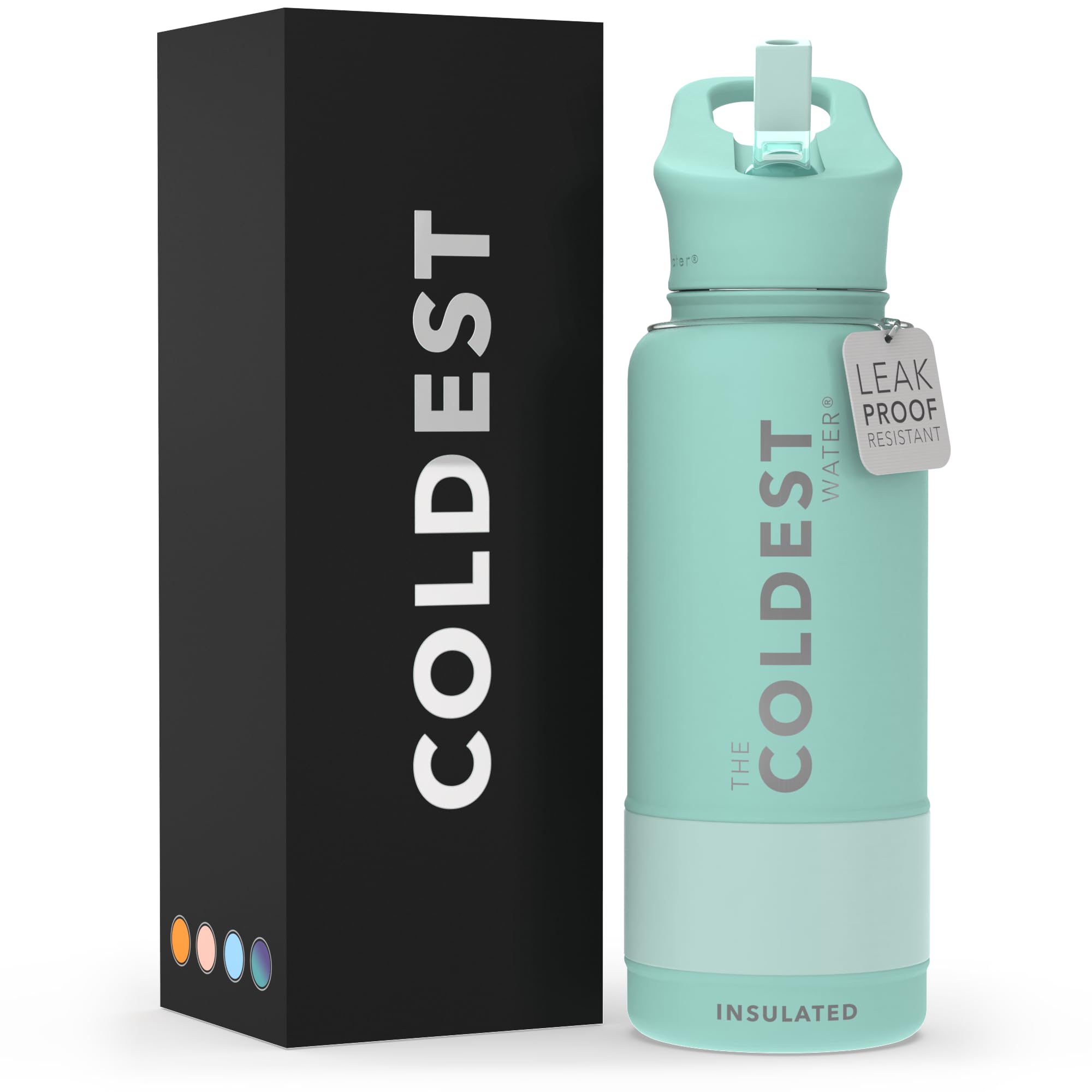 The Coldest Water 32 oz Sports Water Bottle - Vacuum Insulated Stainless Steel Flask, Mint Green, Leak Proof with Straw Lid