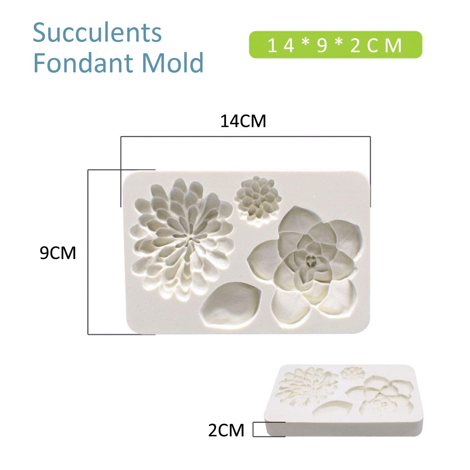 2Pcs Fondant Mold Succulent Silicone Fondant Mold Fern Fondant Mold Succulent Leaves Silicone Candy Molds Cake Decoration Molds
