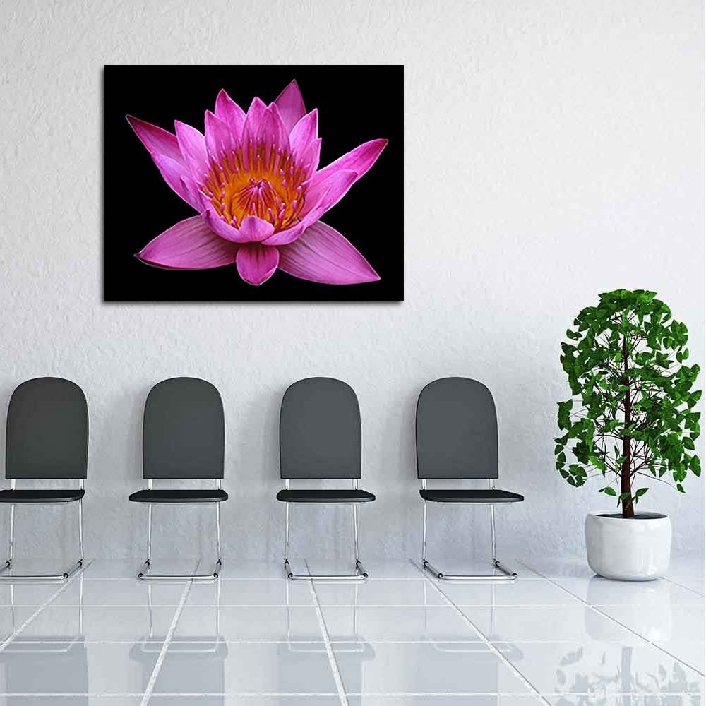Pitaara Box Pink Lotus Flower | Peel & Stick Vinyl Wall Sticker For Bedroom & Living Room | 25.3 X 20 Inch (64 X 51 Cms)