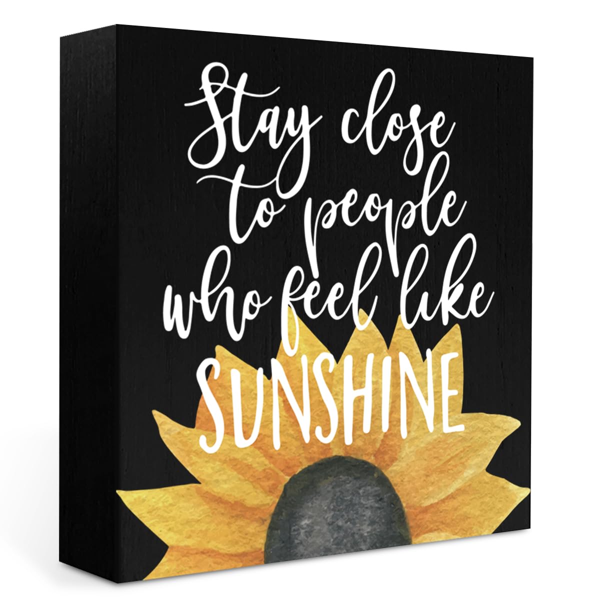 IYEZH Summer Decor Watermelon Wood Box Sign 5 x 5 Inches Desk Decor Rustic Country Wooden Square Sign Decor Watermelon Summer De