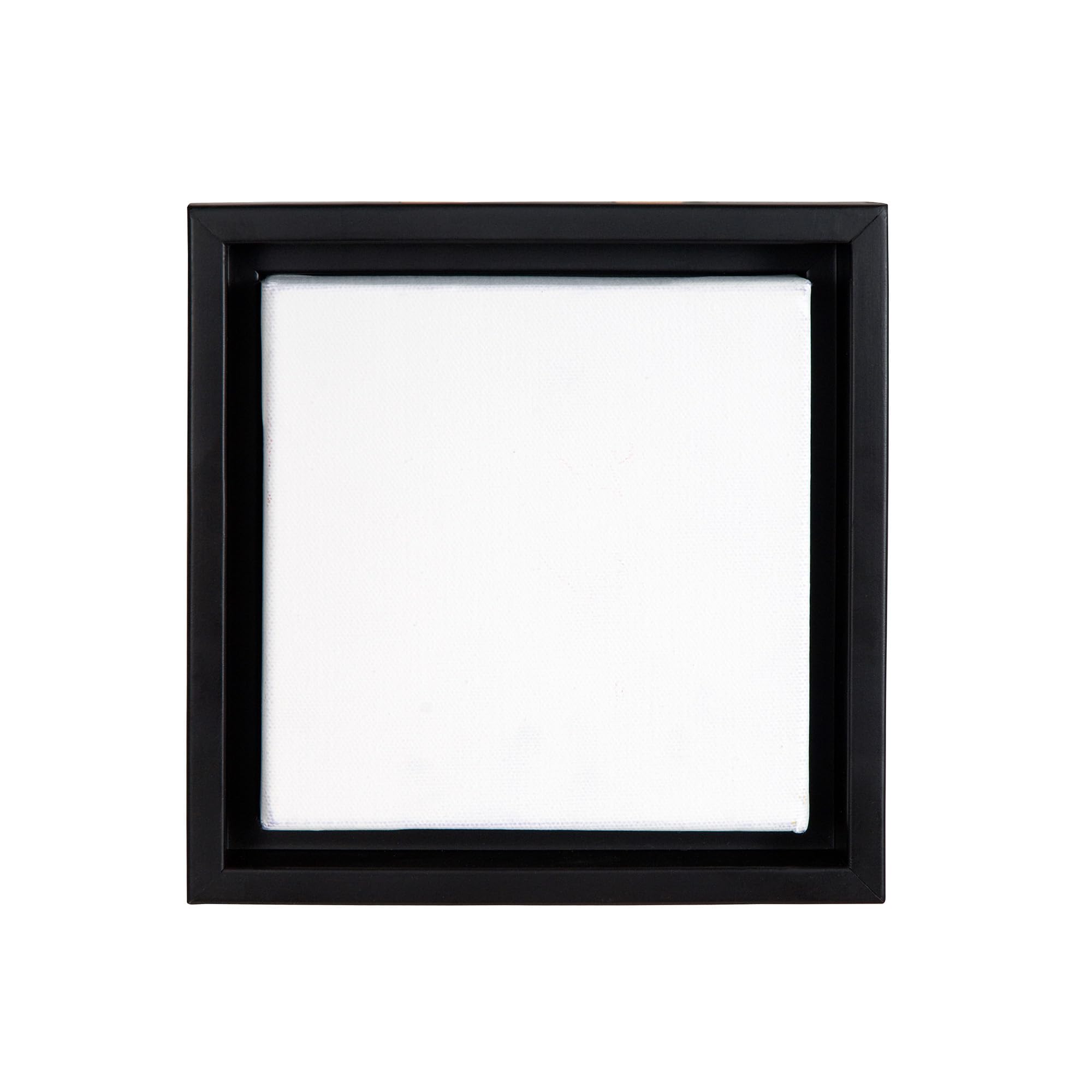 Creative Mark Illusions Floater Frame For 3/4 Deep Canvases - 18x18 Black - No Glass or Backing - Wood Composite Floating Illusi