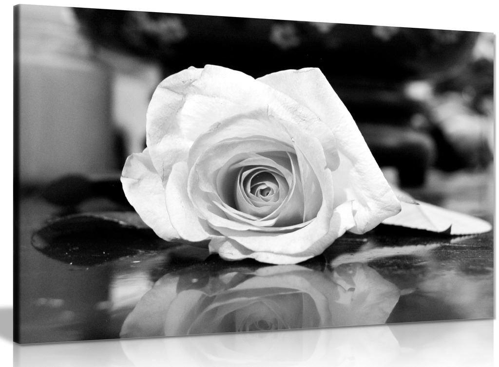 Black & White Rose Canvas Wall Art Picture Print (36X24In)