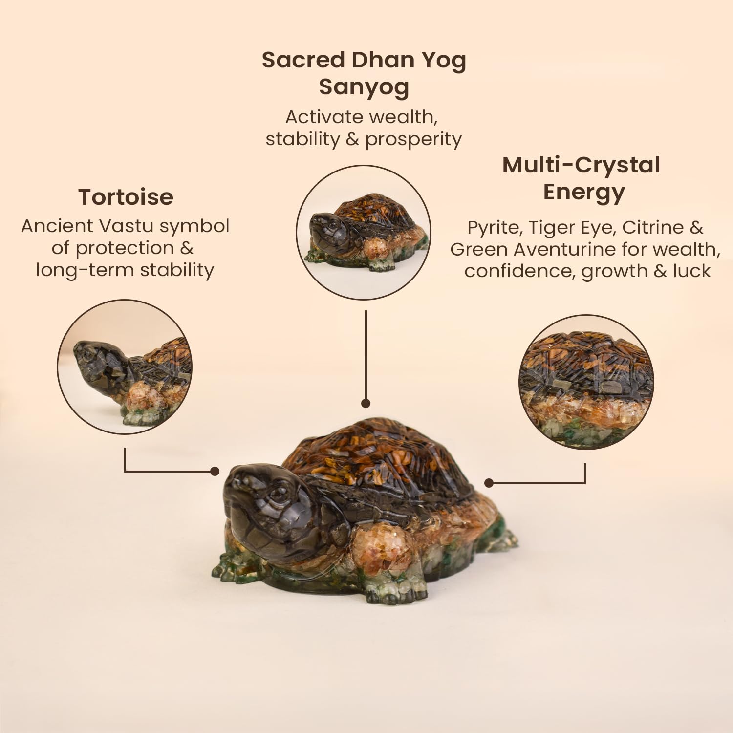 Dhan Yog Tortoise (Big)