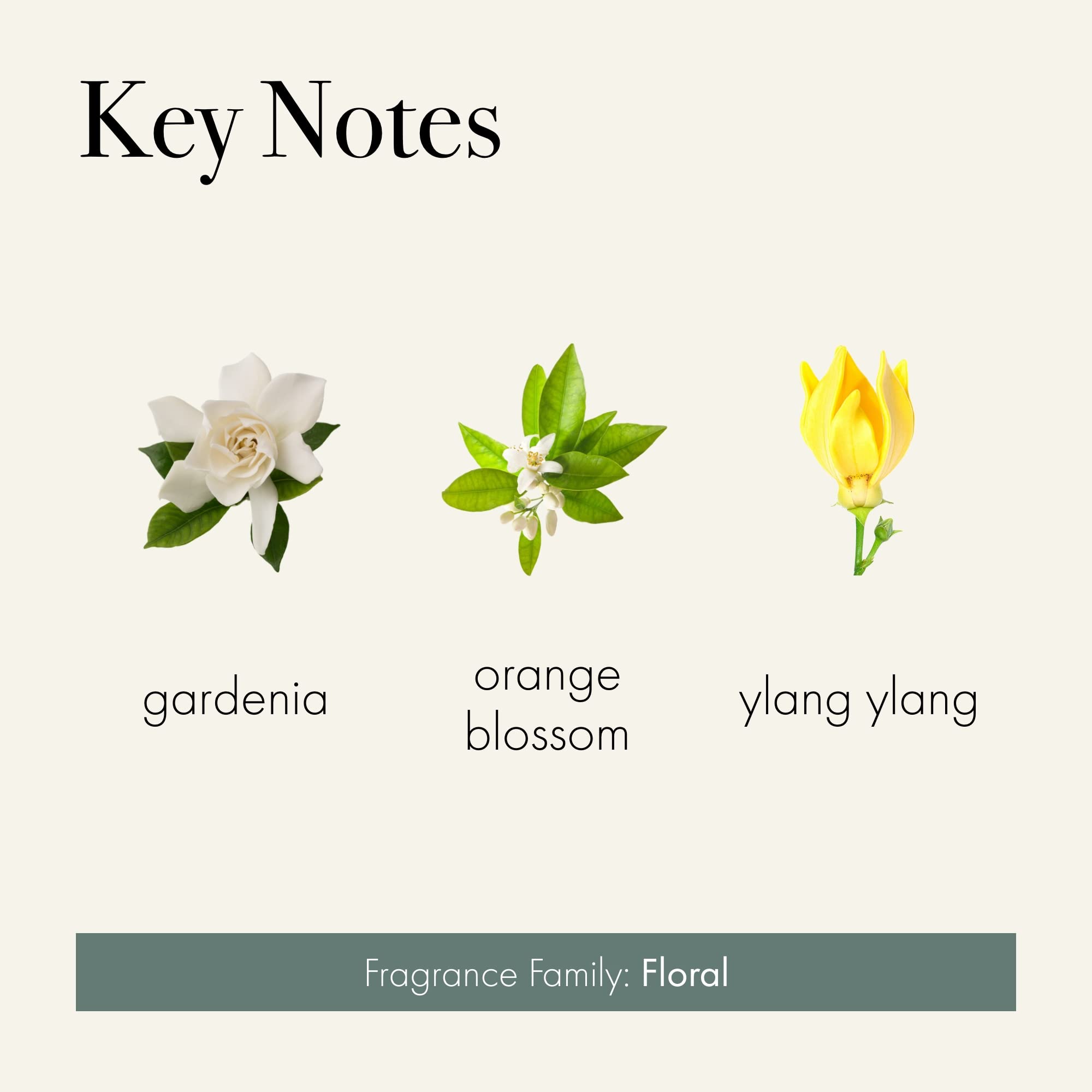 LAFCO New York Signature Candle, Fresh Cut Gardenia - 15.5 oz - 90-Hour Burn Time - Reusable, Hand Blown Glass Vessel - Made in