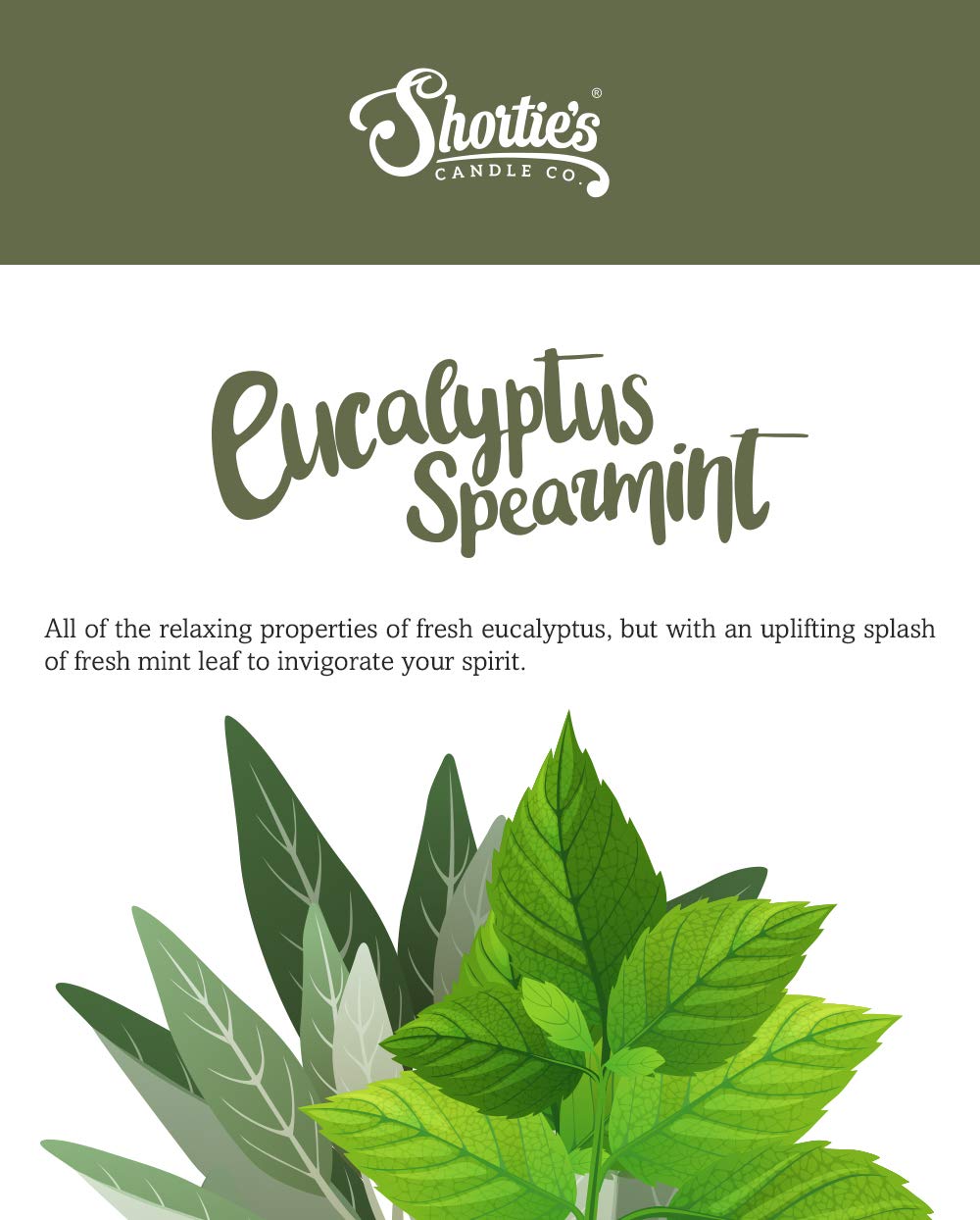 Shortie's Candle Company Eucalyptus Spearmint Wax Melts - Formula 117-1 Highly Scented 3 Oz. Bar - Made with Essential & Natural