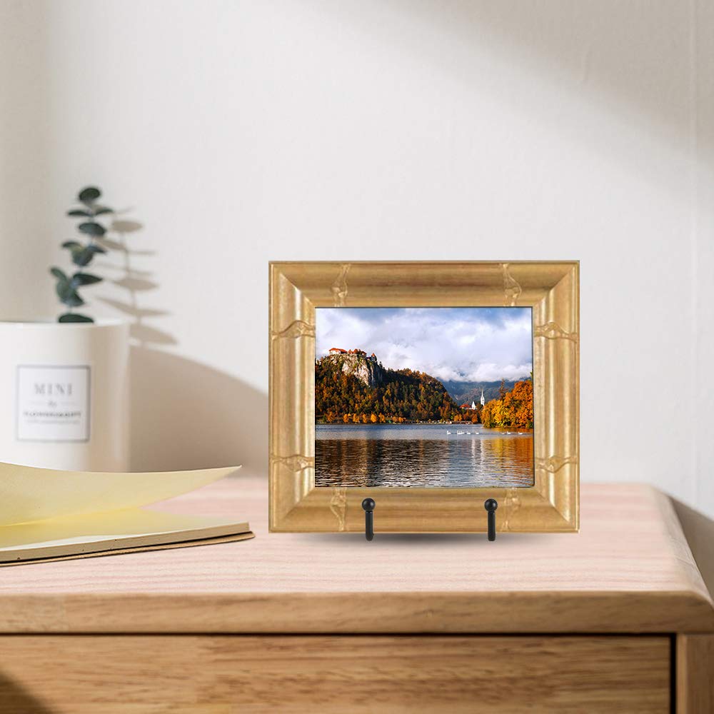 Plate Stands for Display - Iron Easel Stand Plate Holder Display Stand Picture Frame Stand for Pictures | Photo|Decorative Plate