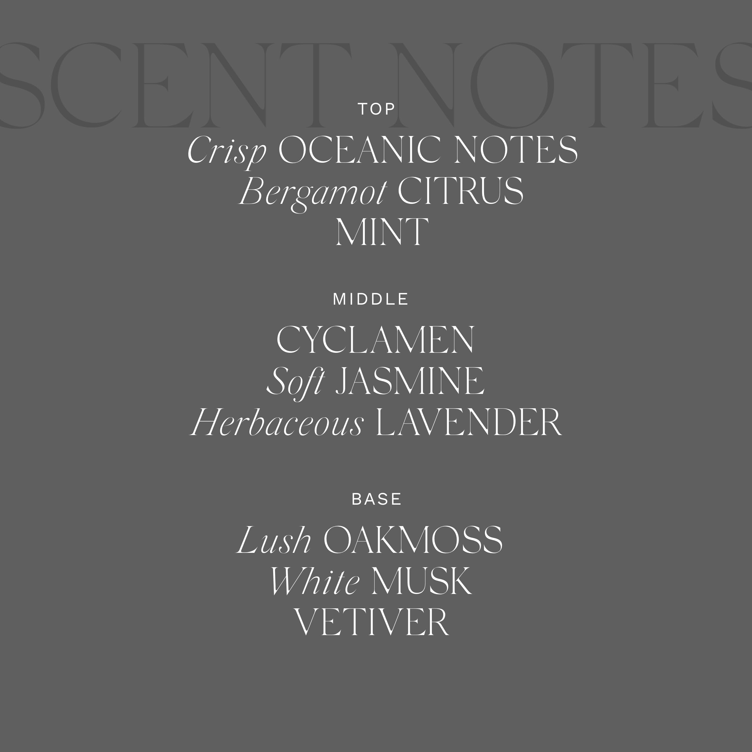 Antica Farmacista Scented Candle, Bergamot & Ocean Aria, 9 Ounce