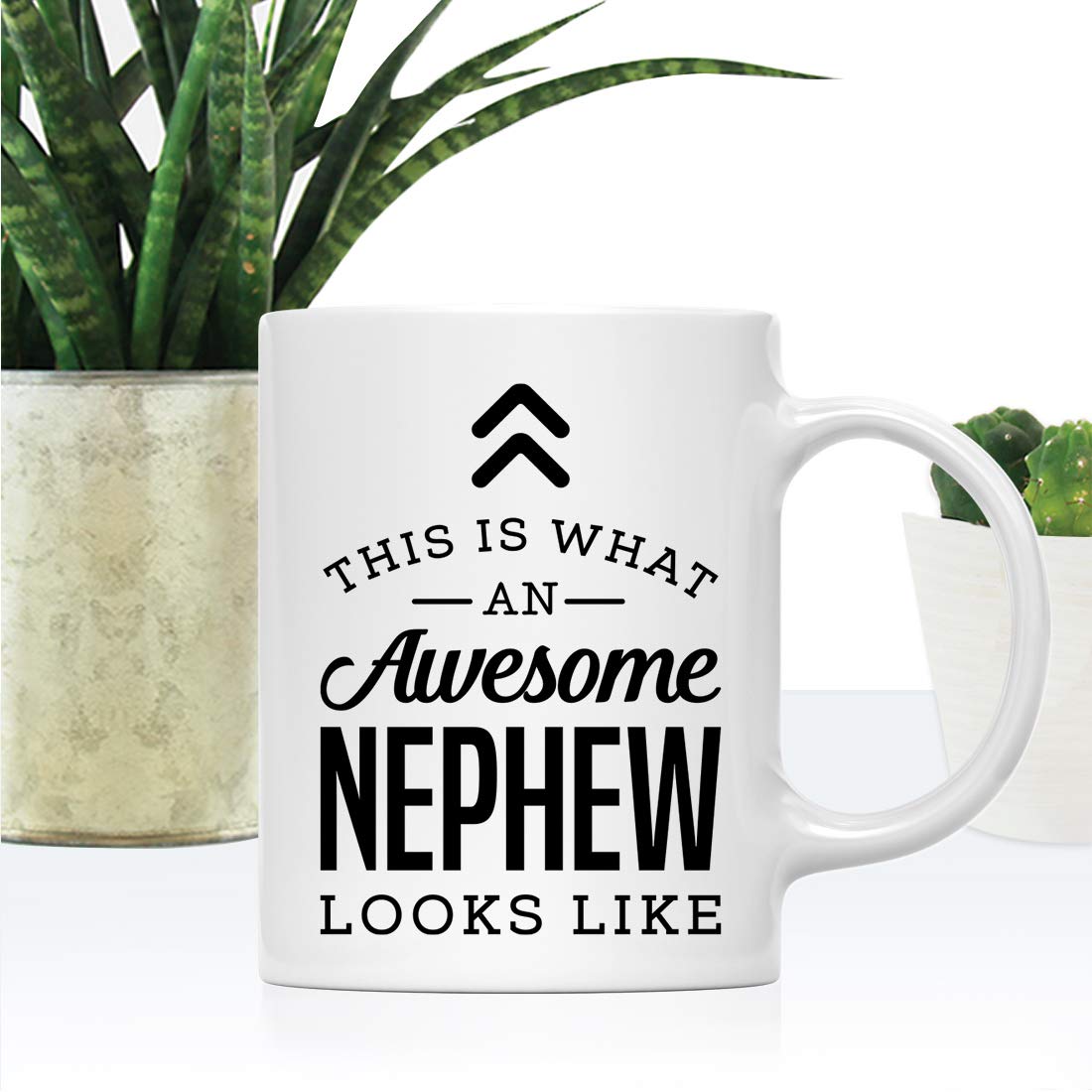 Andaz Press 11oz. Ceramic Coffee Tea Mug Gift, This is What an Awesome Nephew Looks Like, 1-Pack, Birthday Gift Ideas Coworker H