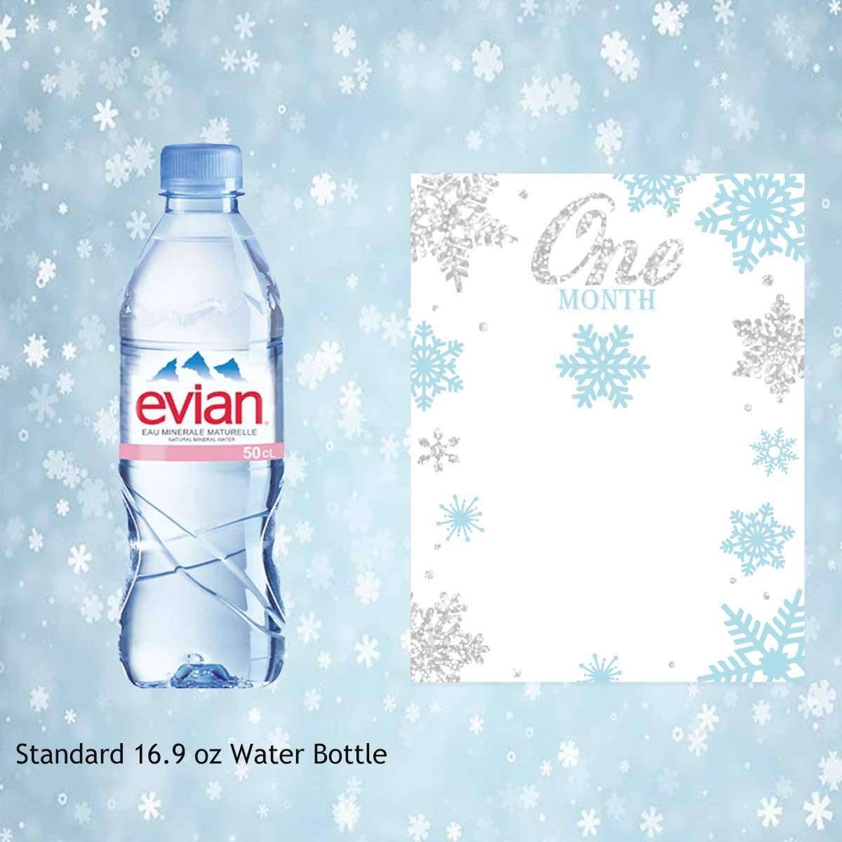 Winter Onederland Birthday Decorations Snowflake First Birthday Photo Banner - Milestone, Monthly Newborn To 12 Months Banner Cl