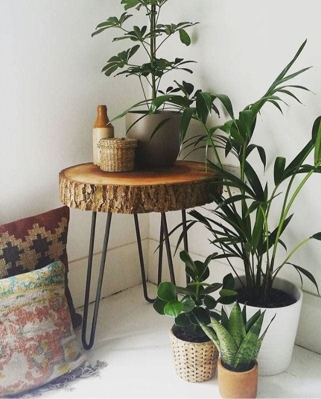 Fabwud Sheesham Wood Small End Table/Side Table/Plant Stand/Round Stool With Hairpin Legs For Home Decor (Wood Natural)