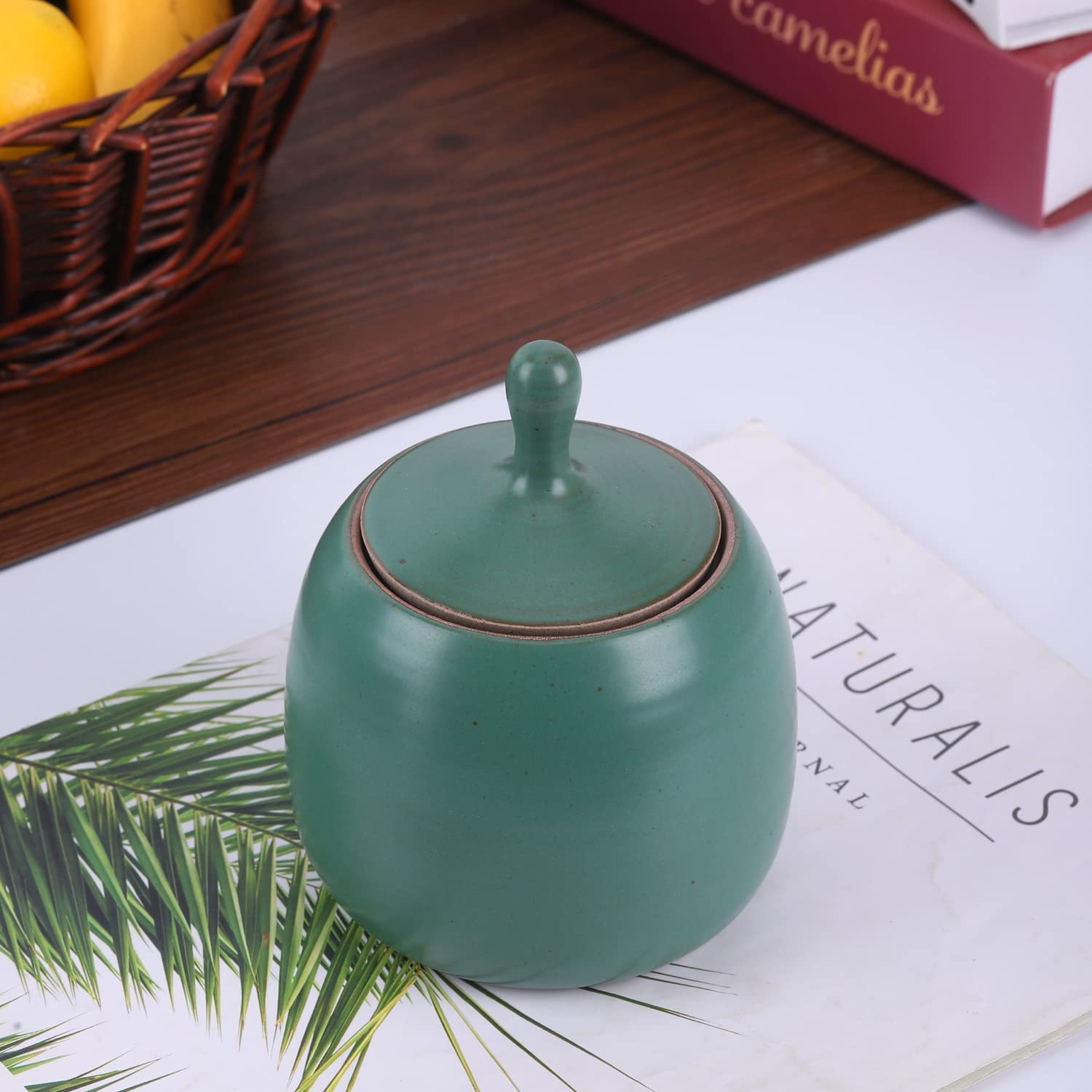 Amoysanli Kitchen Canisters Vintage Ceramic Food Storage Jar With Airtight Lid For Tea, Coffee, Herb, Sugar, Spice, Nuts (Ancien