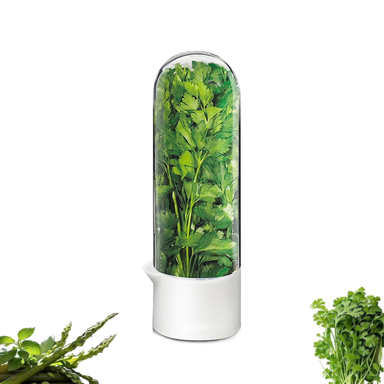 Minkeytal Cilantro Container for Fridge, Herb Saver for Refrigerator  Fresh Herb Keeper for Cilantro, Basil, Asparagus, Parsley