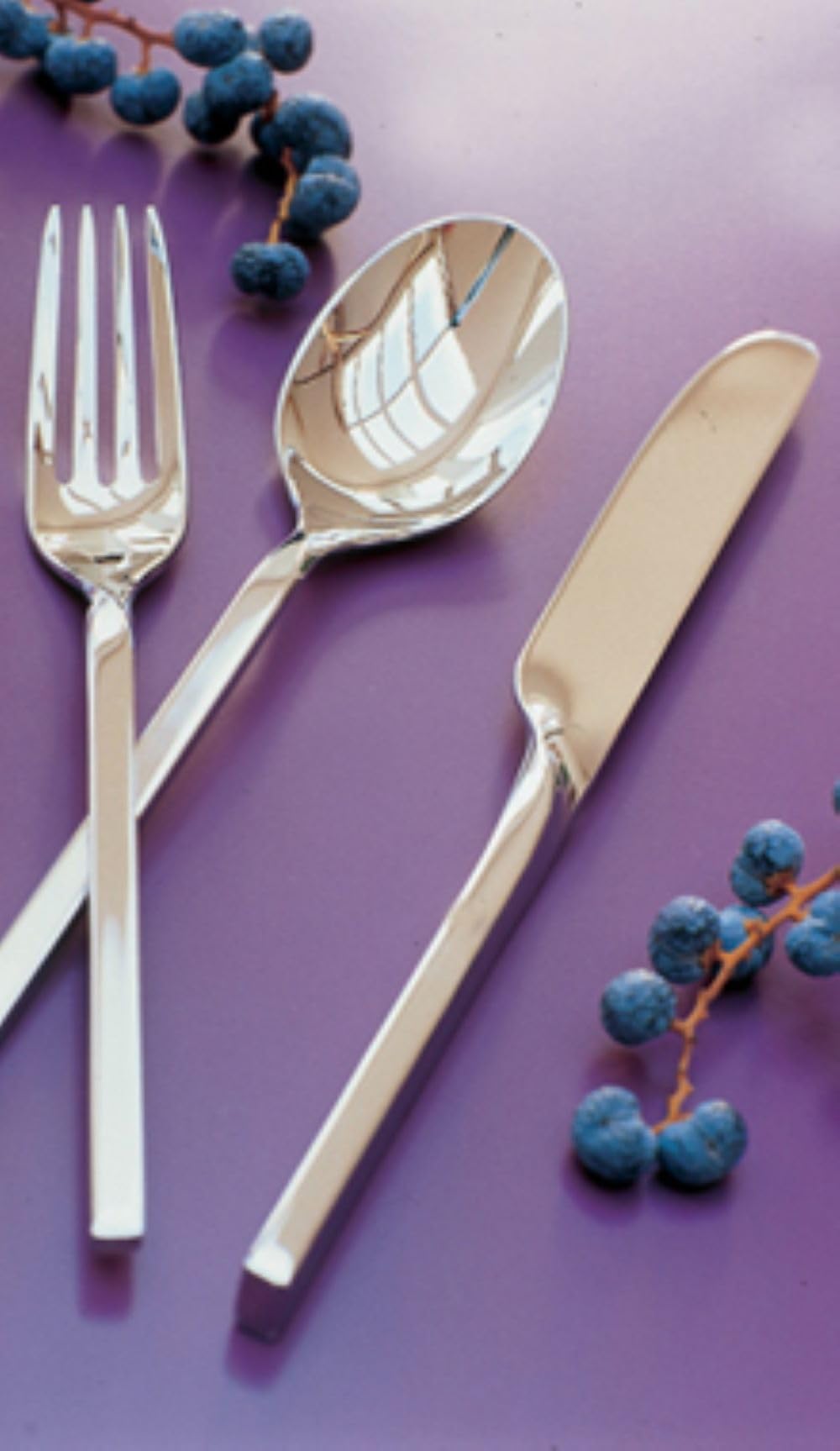 Villeroy & Boch New Wave Flatware 64 Piece, Service For 12