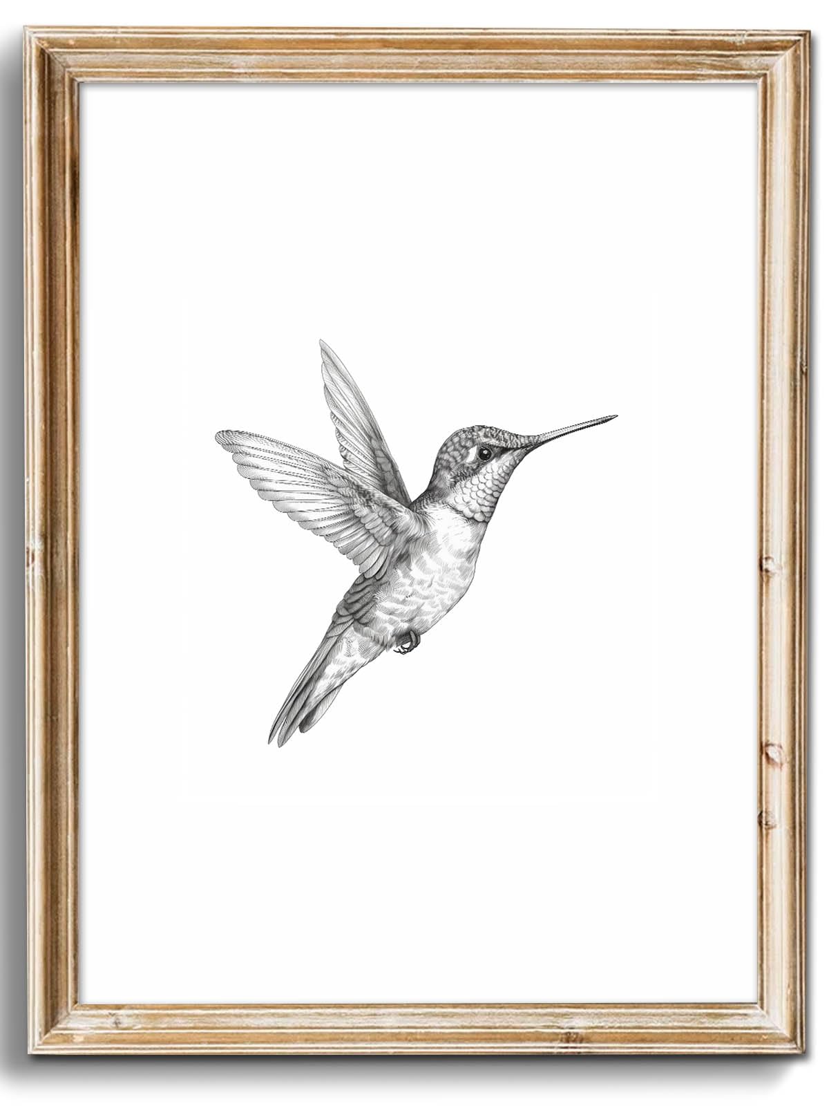 Uniro Vintage Wall Art Prints Farmhouse Decor Hummingbird Sketch Canvas Oil Painting Black And White Bird Neutral Vintage Artwor