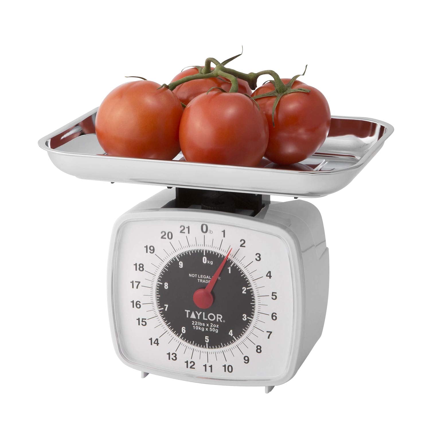 Taylor 38804016T 22 Lb Capacity Kitchen Scale
