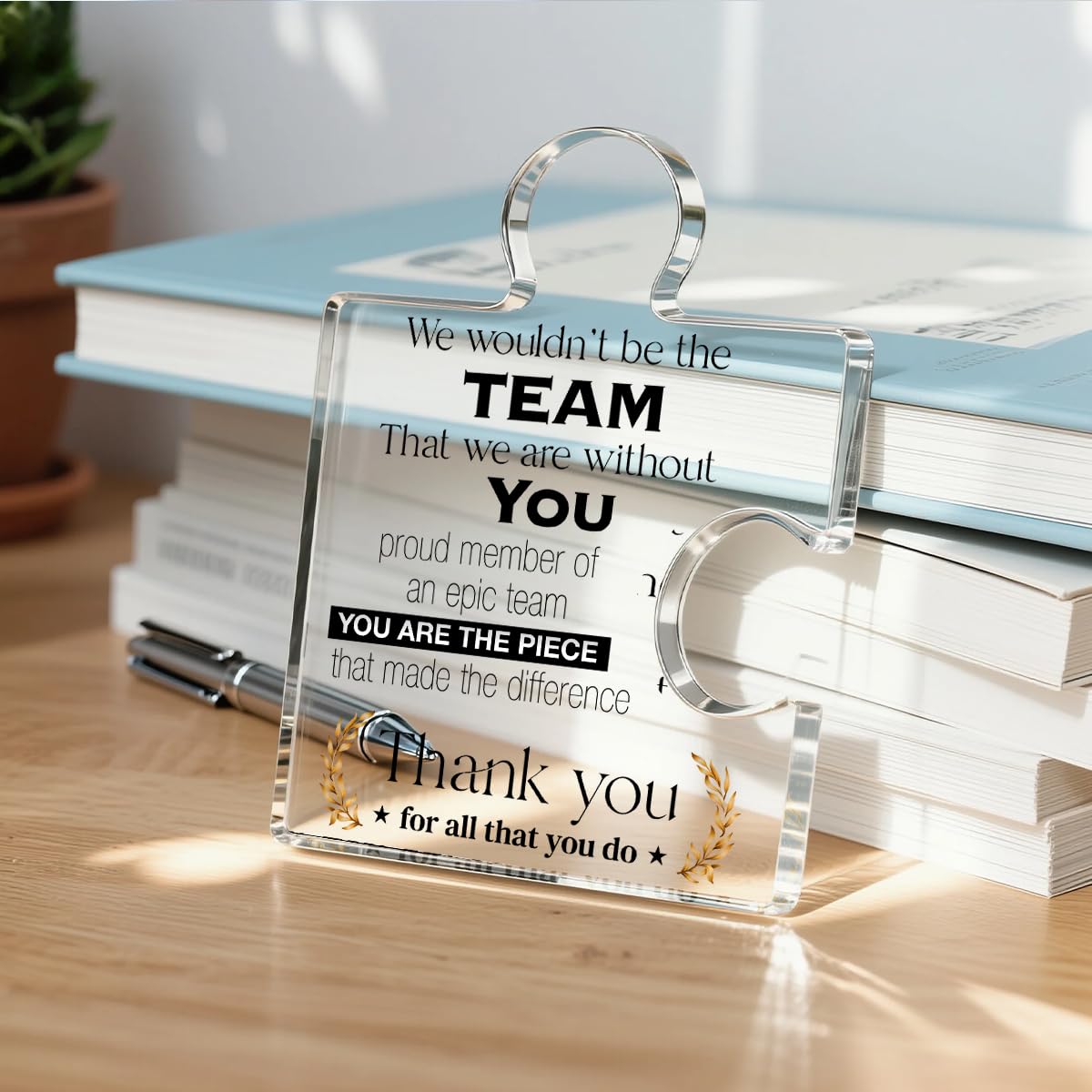 Team Appreciation Gifts Thank You Gift for Coworkers Colleagues Employees Boss, Best Teams Ever Gifts We Wouldn t Be the Team W