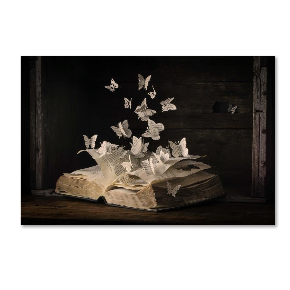 Lepidopterology By Heather Bonadio, 22X32-Inch Canvas Wall Art