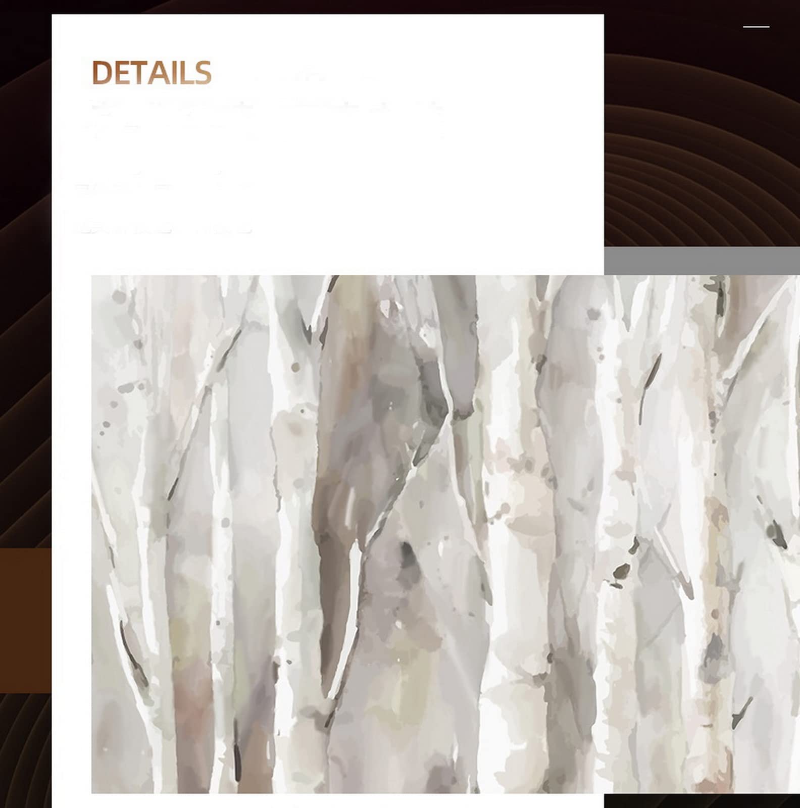 Framed White Birch Trees Wall Art Canvas For Bedroom, Large Landscape Forest Wall Painting For Living Room,Kitchen Office Home D