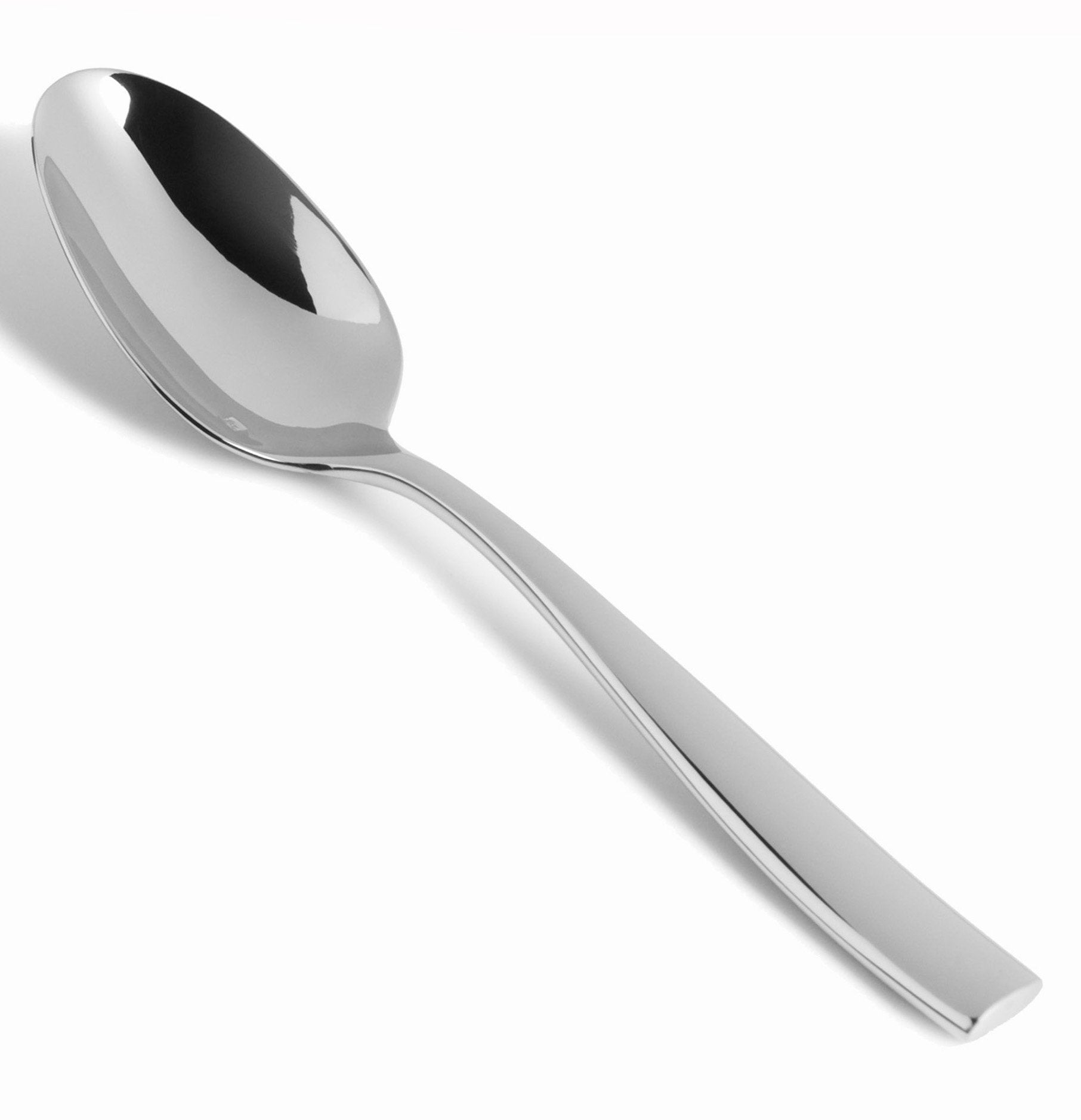 Fortessa Lucca 18/10 Stainless Steel Flatware Serving Spoon, 9.7-Inch