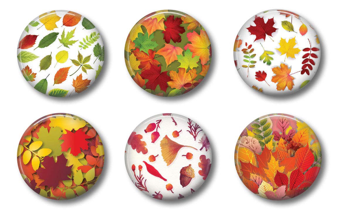 Autumn Leaf Magnets - Cute Locker Magnets For Teens - Set Of 6 - Cute Whiteboard Magnets For Home School Or Office