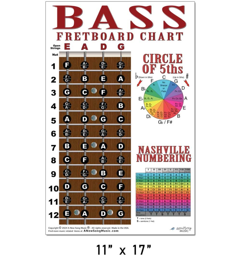 A New Song Music 4 String Bass Instructional Chart - Fretboard Notes Poster, Nashville Numbering System, 11"x17", Classic 2023