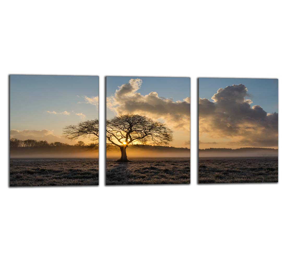 Yetaryy Inspirational Wall Art Tree Of Life Landscape Motivational Canvas Painting Modern Inspiring Entrepreneur Quotes Posters