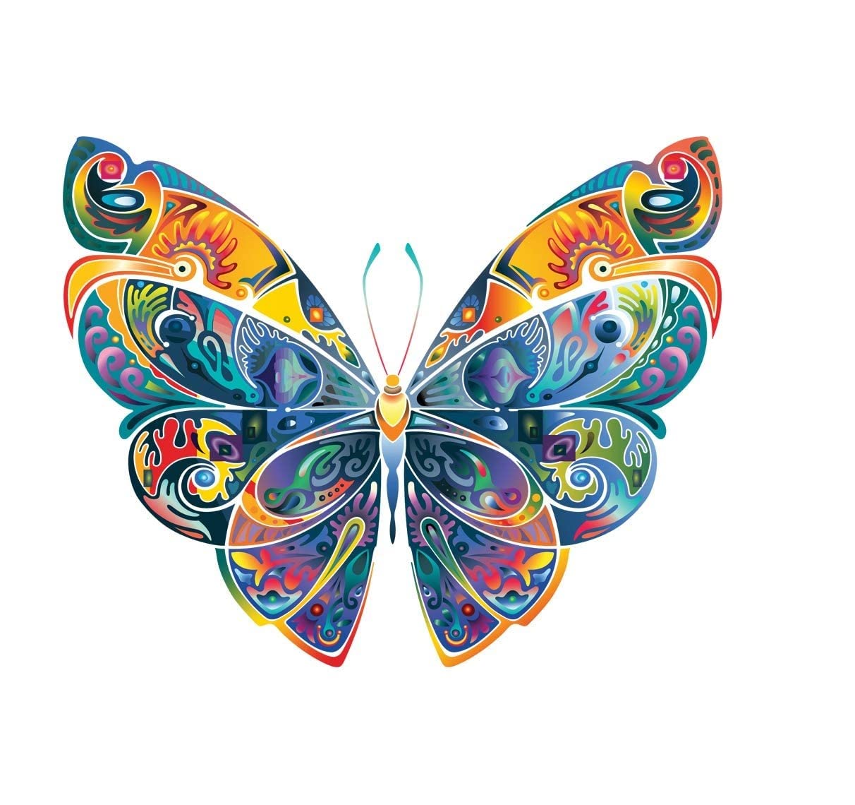 Akki Wold Colorful Butterfly Wall Sticker for Living Room/Bedroom/Office Size - 41 cm X 51 cm