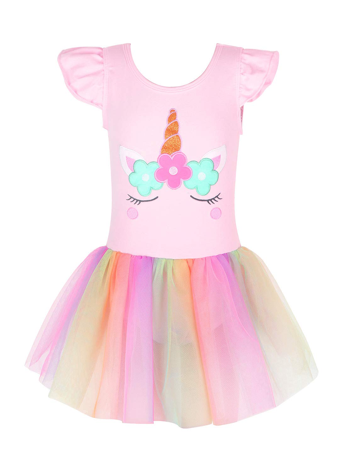 Eqsjiu Ballet Leotards For Girls 3T 4T Pink Unicorn Dance Outfit Withtulle Skirt Dresses