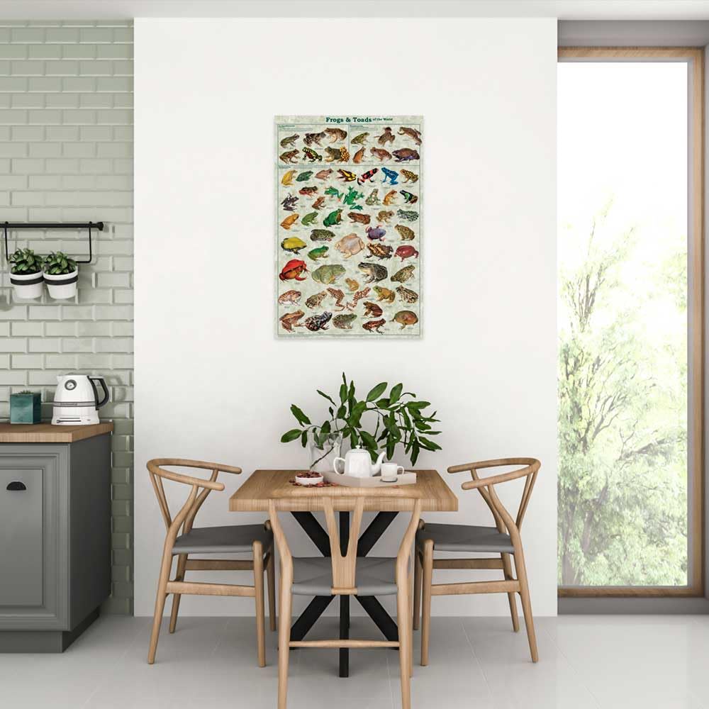 Frogs & Toads of the World Educational Science Classroom Chart Print Poster 24x36